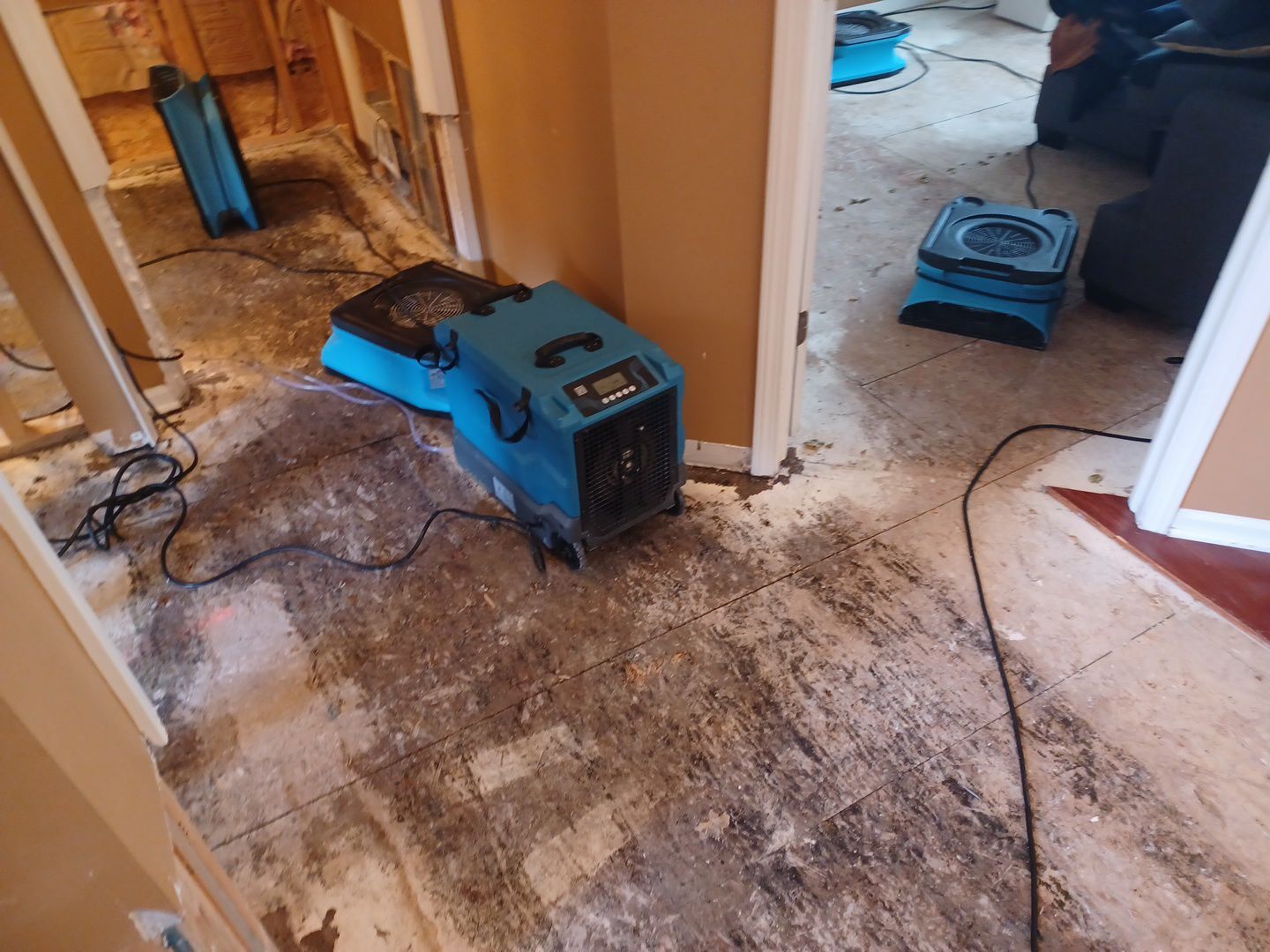 Project in Sterling Heights by EzDry Water Mitigation & Property Restoration