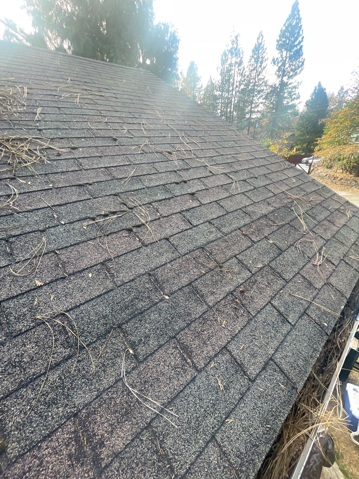 Roof Rejuvenation using Roof Maxx Treatment by Roof Maxx of Folsom