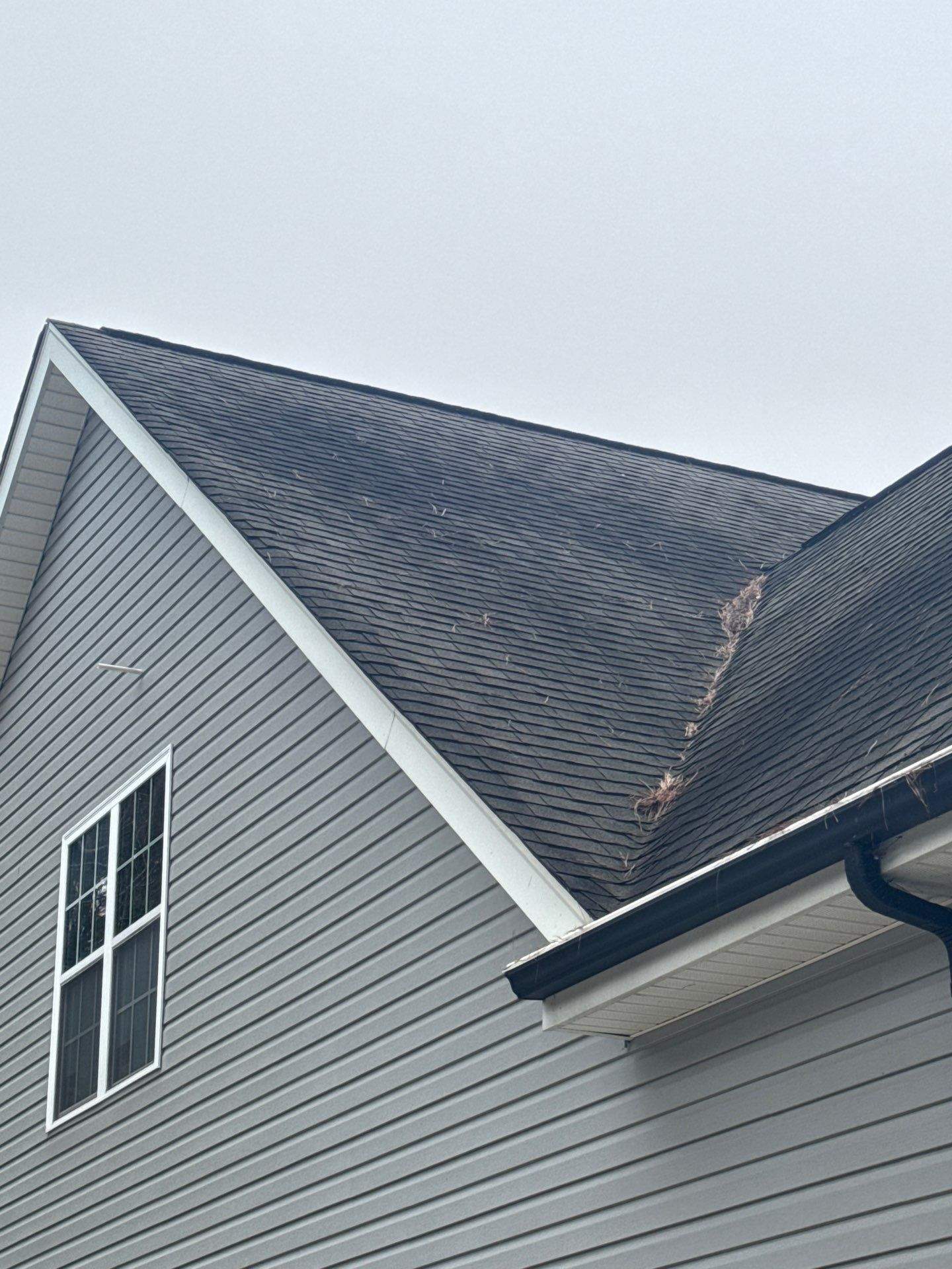 cleaning the roof and siding to remove dirt and debris for improved appearance and maintenance