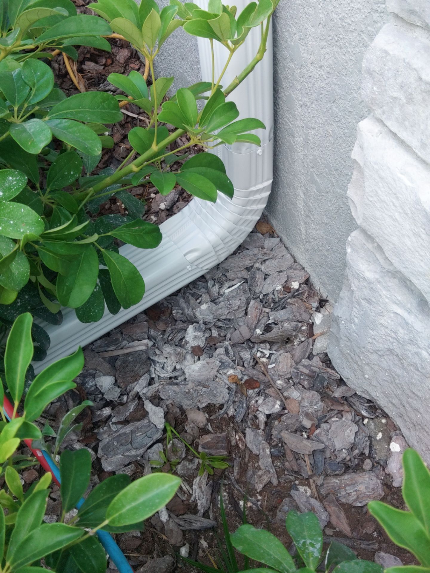 Gutter Cleaning & Maintenance in Lakewood Ranch FL by Gutter Professors