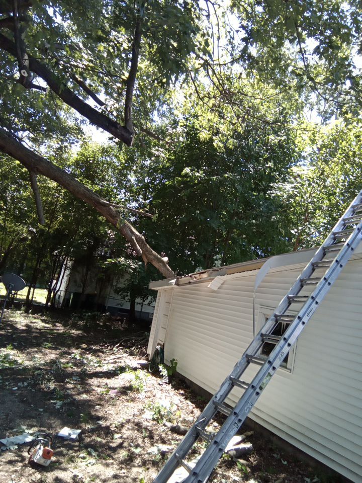 Storm Damaged Tree Removal  using Tree Removal by Mike Jones & Sons Tree Service LLC 