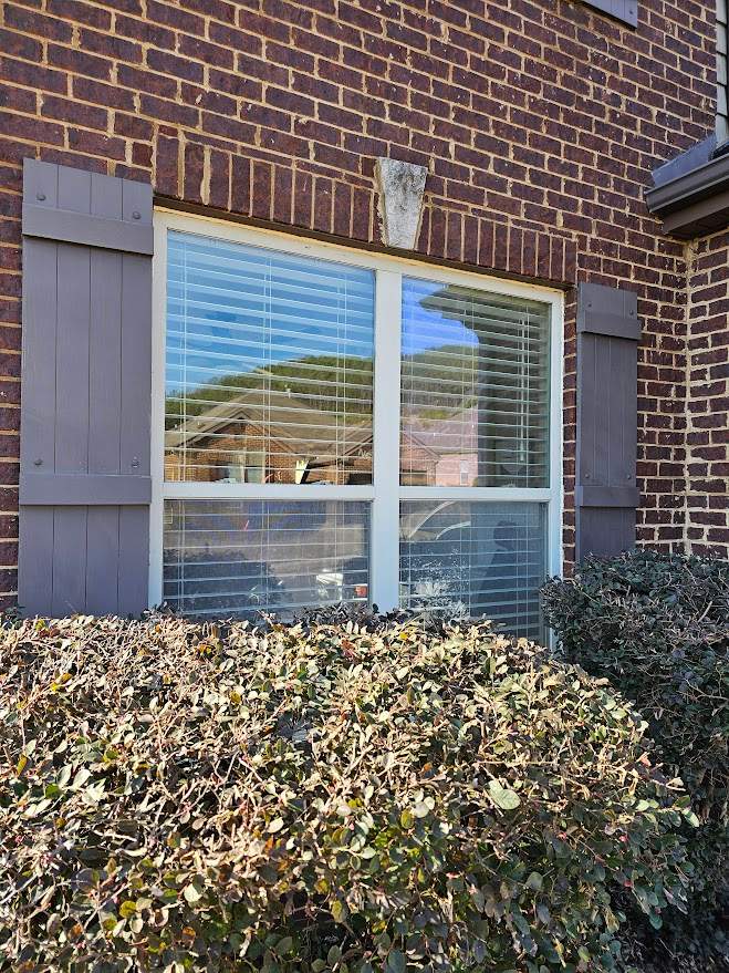 James Project in Leeds by The Window Source