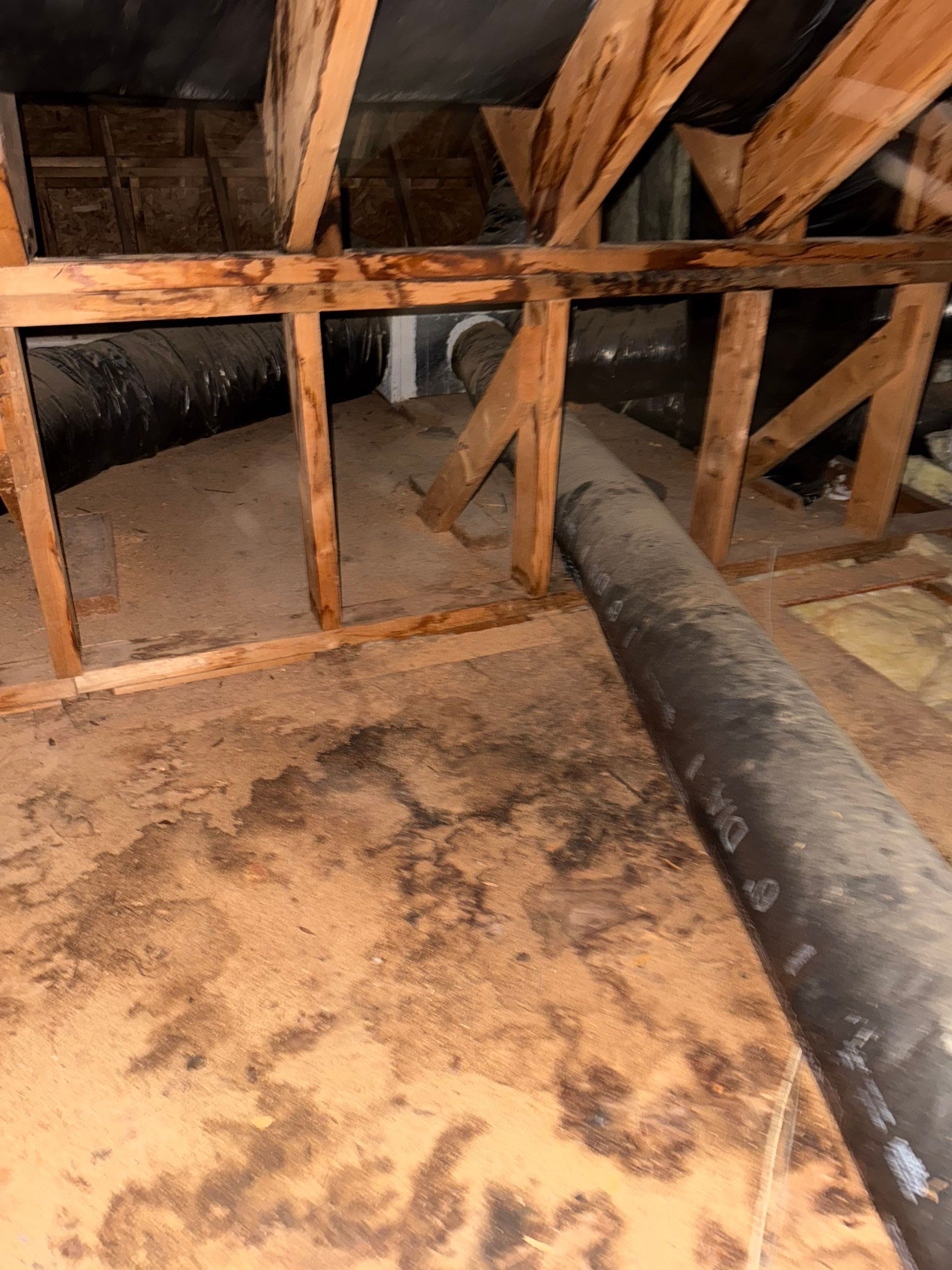 Project in Raleigh - TPO roof replacements  by Pro Performance Roofing