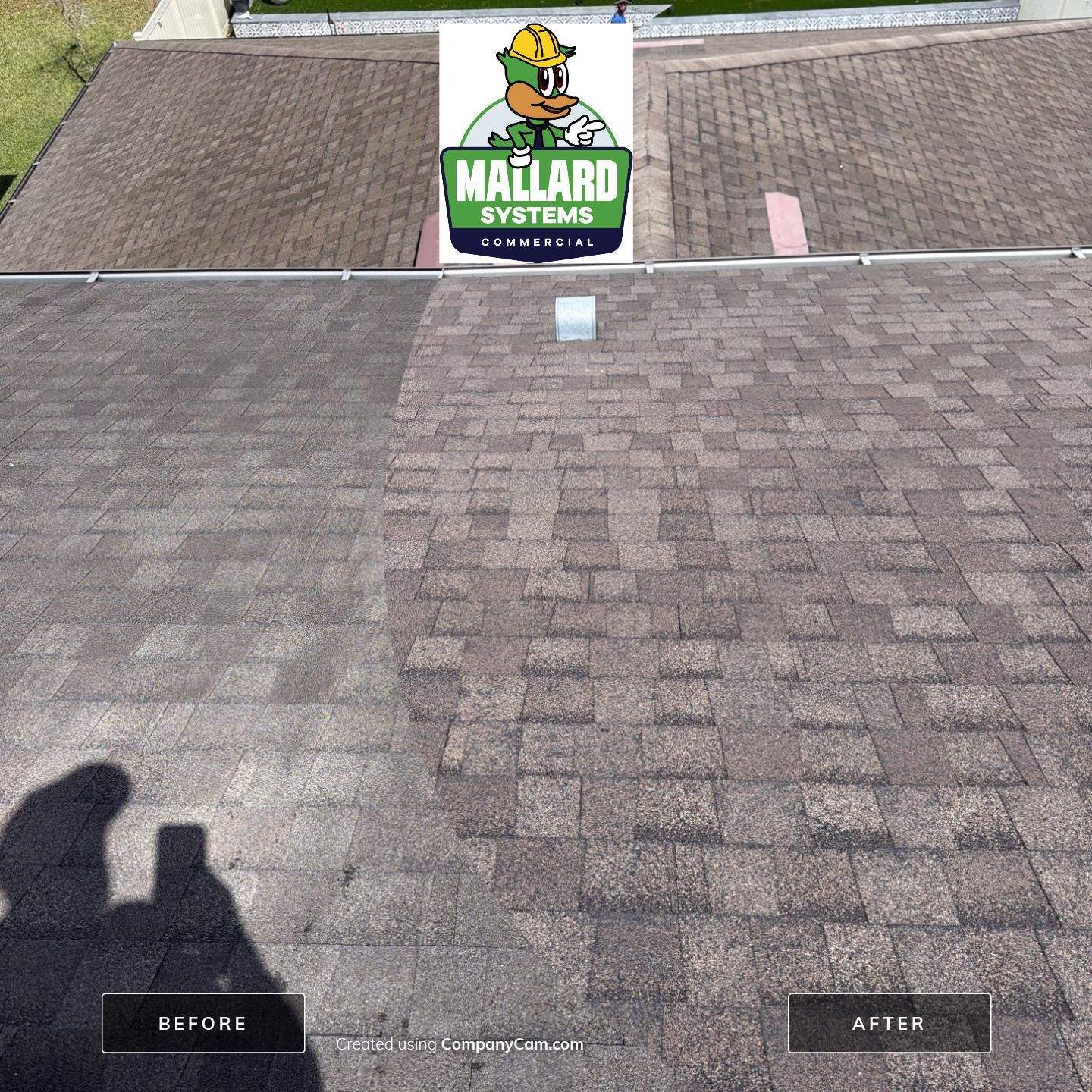 Shingle Roof Cleaning by Mallard Systems