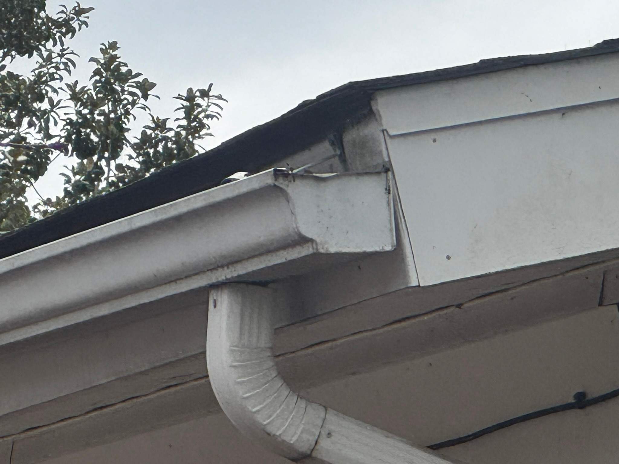 New Bern | NC Roofs by North Carolina Roofs
