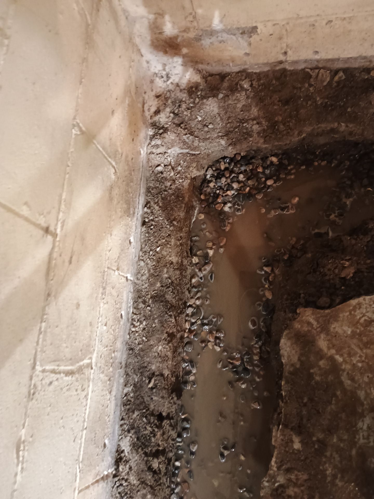 Drain Tile & Sump Pump for Kassie's Rental Property by Waterproofing Northeast