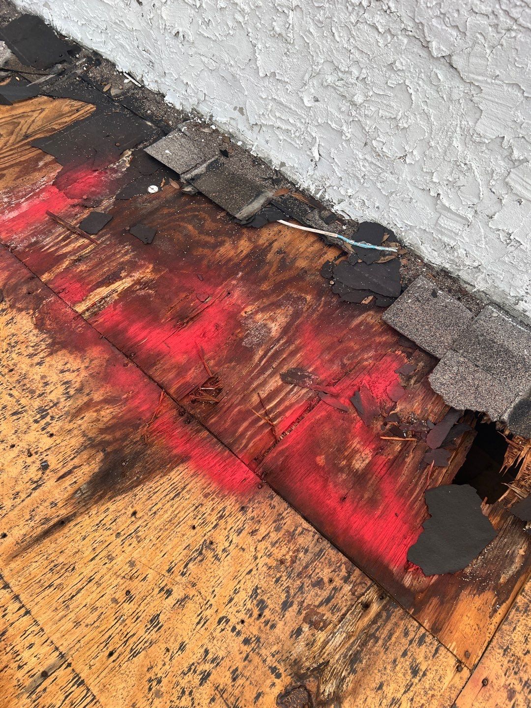Project in Tampa 33614 by Mitchell Roofing Company LLC