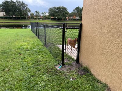 Bradenton, FL  4 ft. Tall Black Chain-link Fence