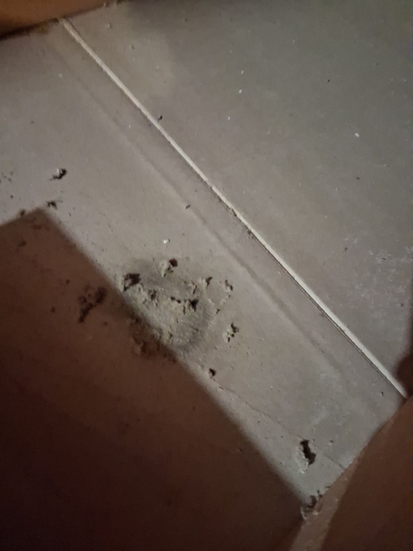 Attic Insulation and Repair by Toledo Basement Repair