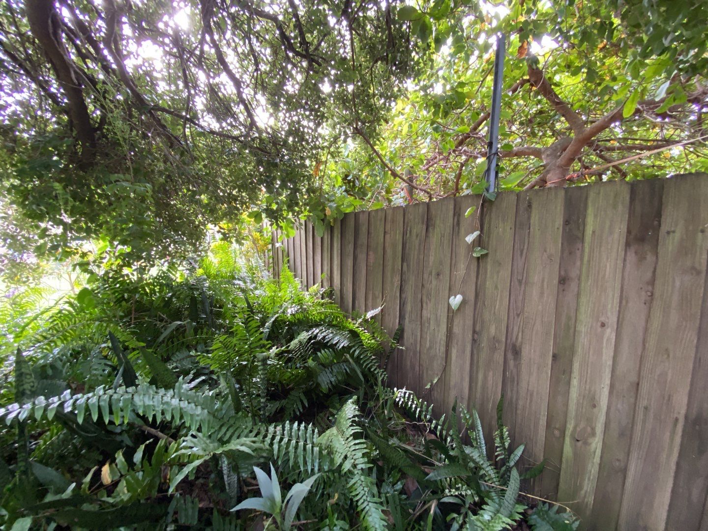 Bradenton, FL 6ft. Tall White Vinyl Privacy Fence  by Asap fence and gates, LLC