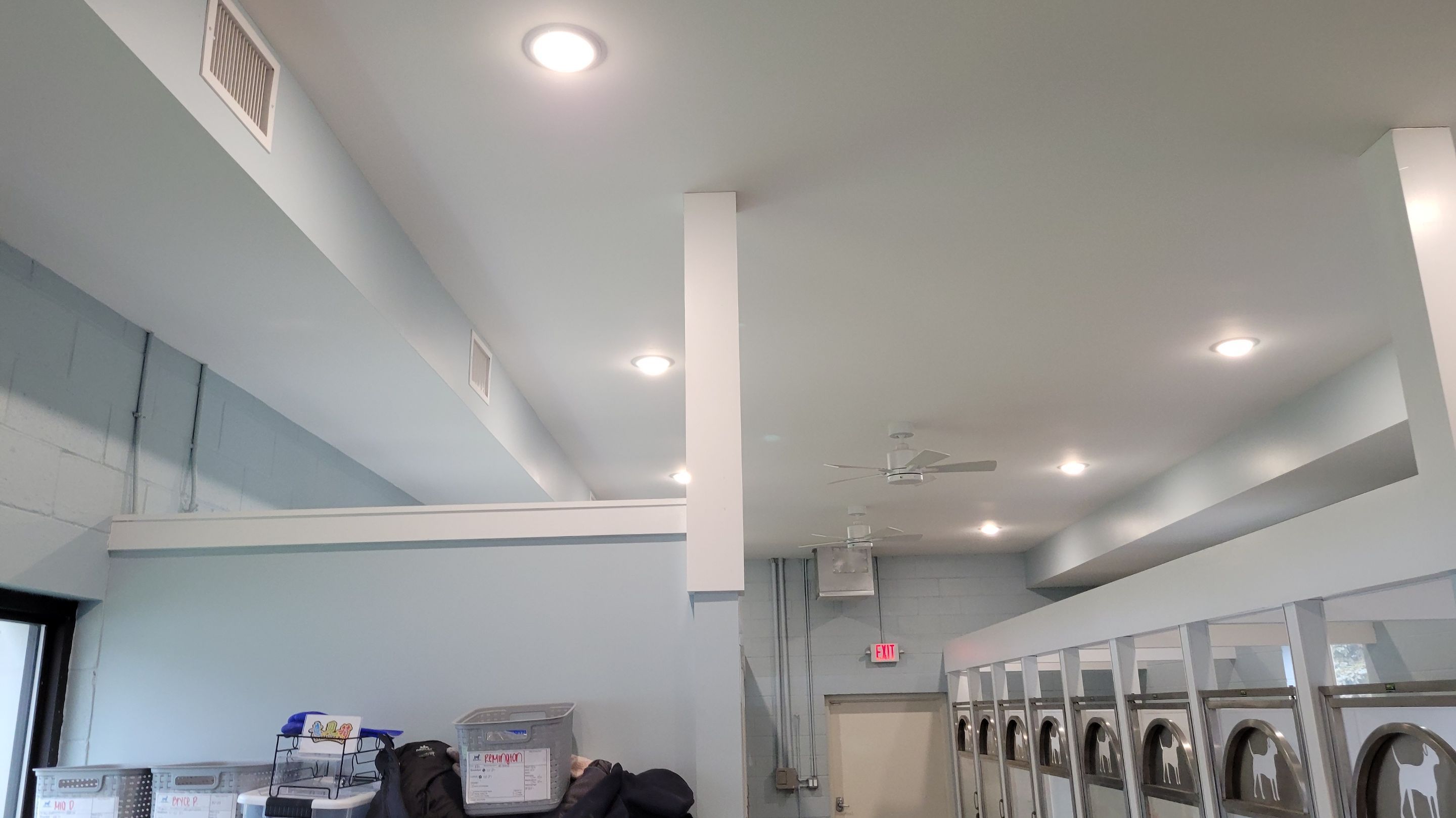Kennel Floor Coating and Wall Painting using Penntek by Spectrum Painting, LLC