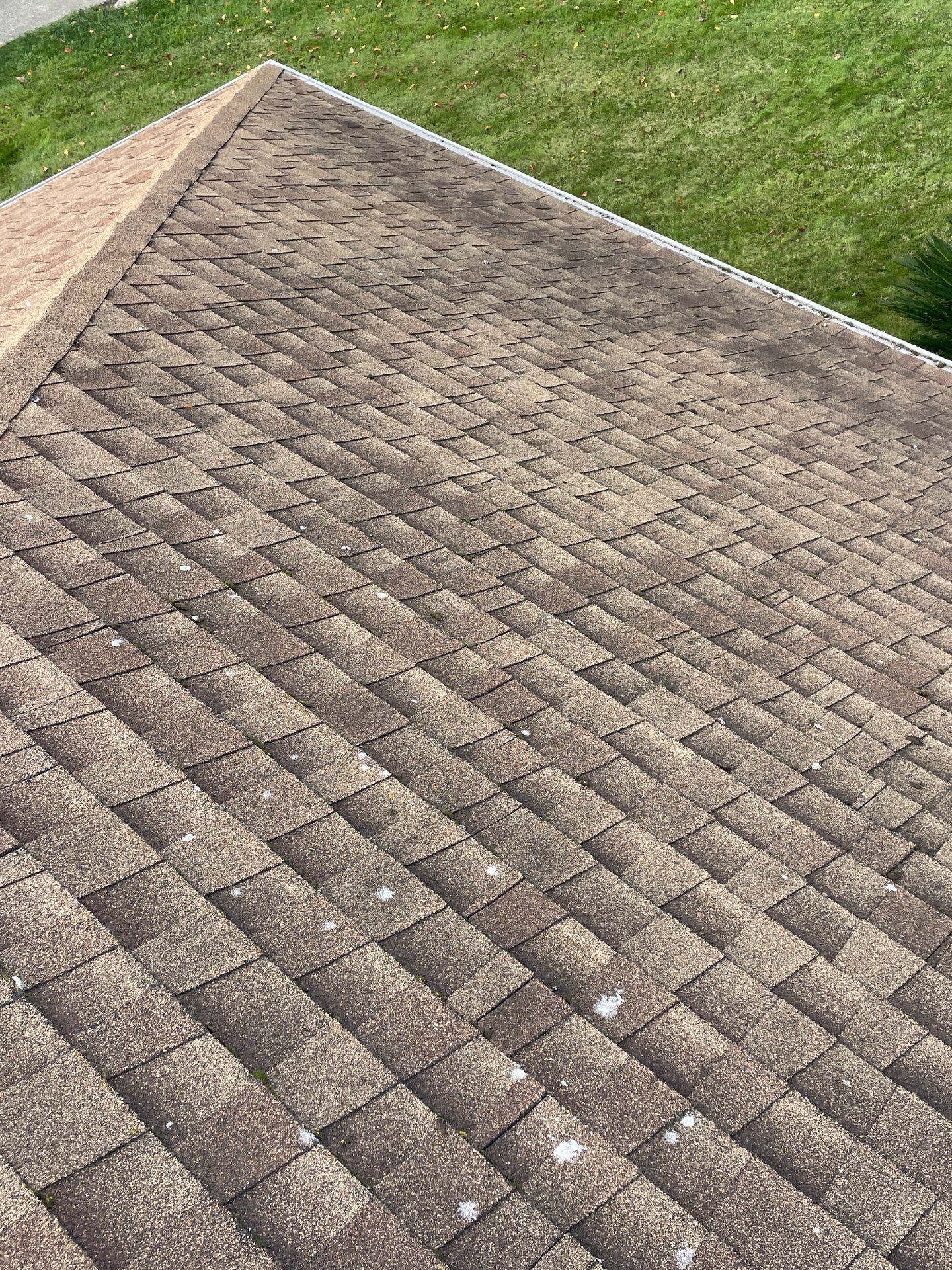 Roof Rejuvenation using Roof Maxx Treatment by Roof Maxx of Folsom
