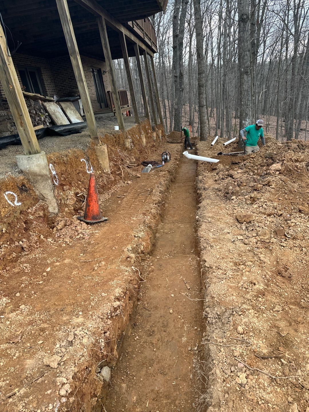 Susannah by Back To Nature Landscaping & Construction