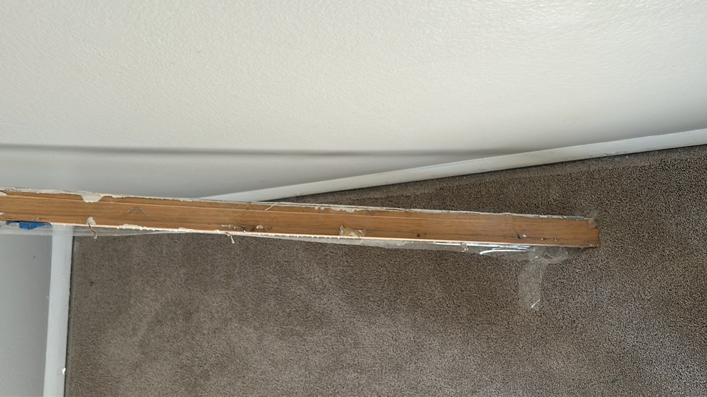 Mold Damage Repairs by Accountable Home Services