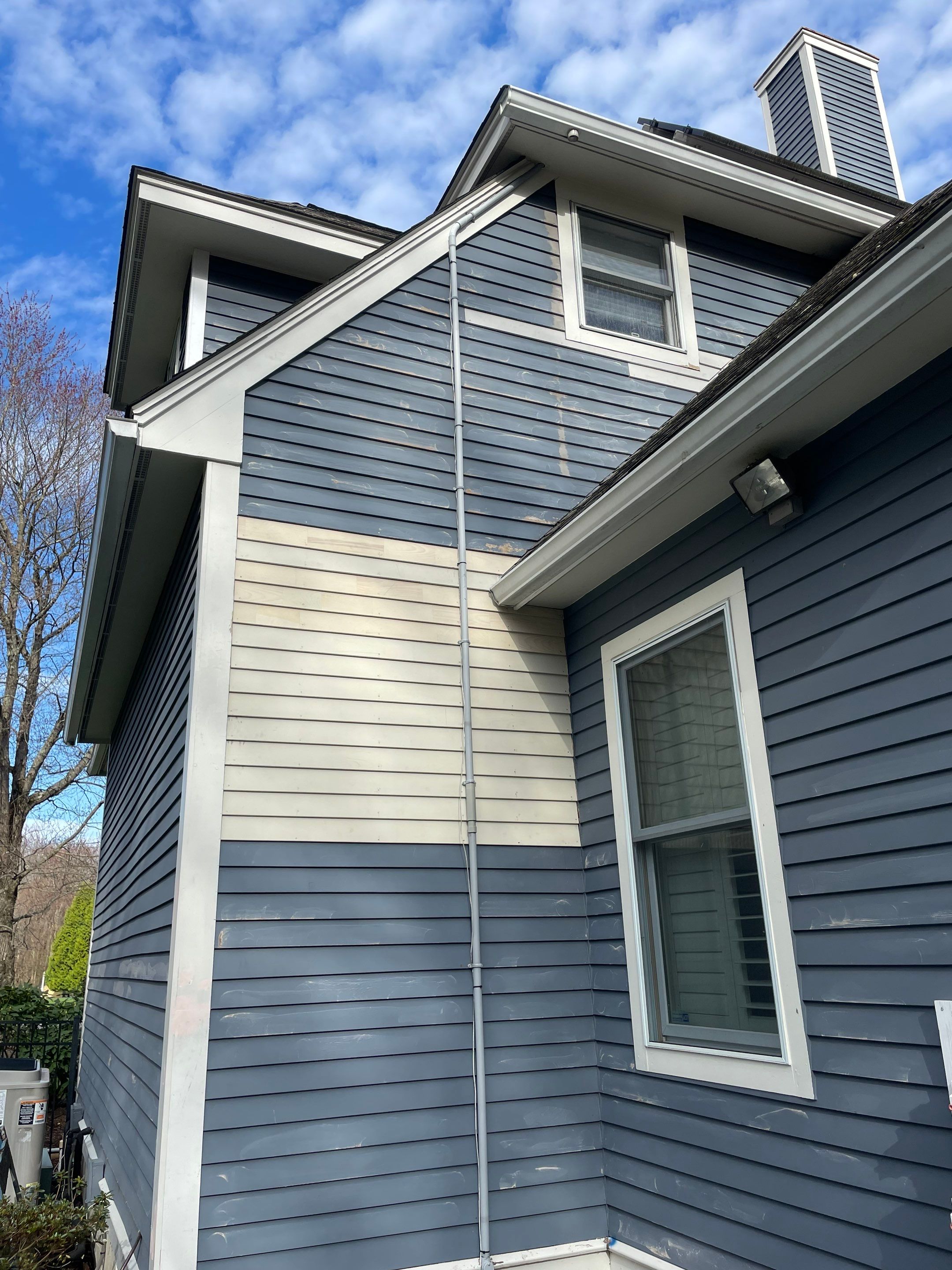 Exterior Painting & Carpentry Repairs by EXCELLENCE | CARTO