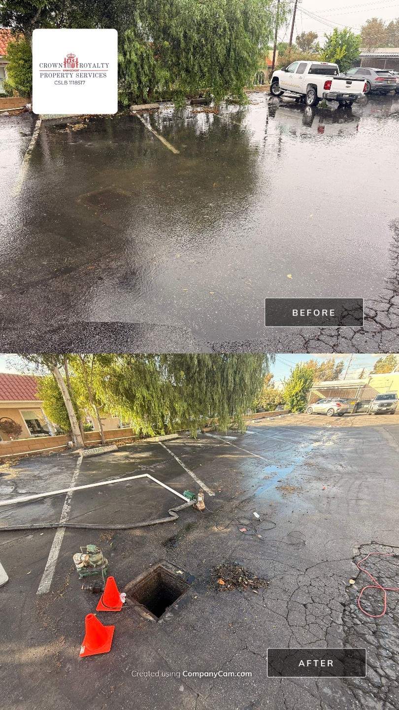 Before and After - ICSC by Crown Royalty Property Services 