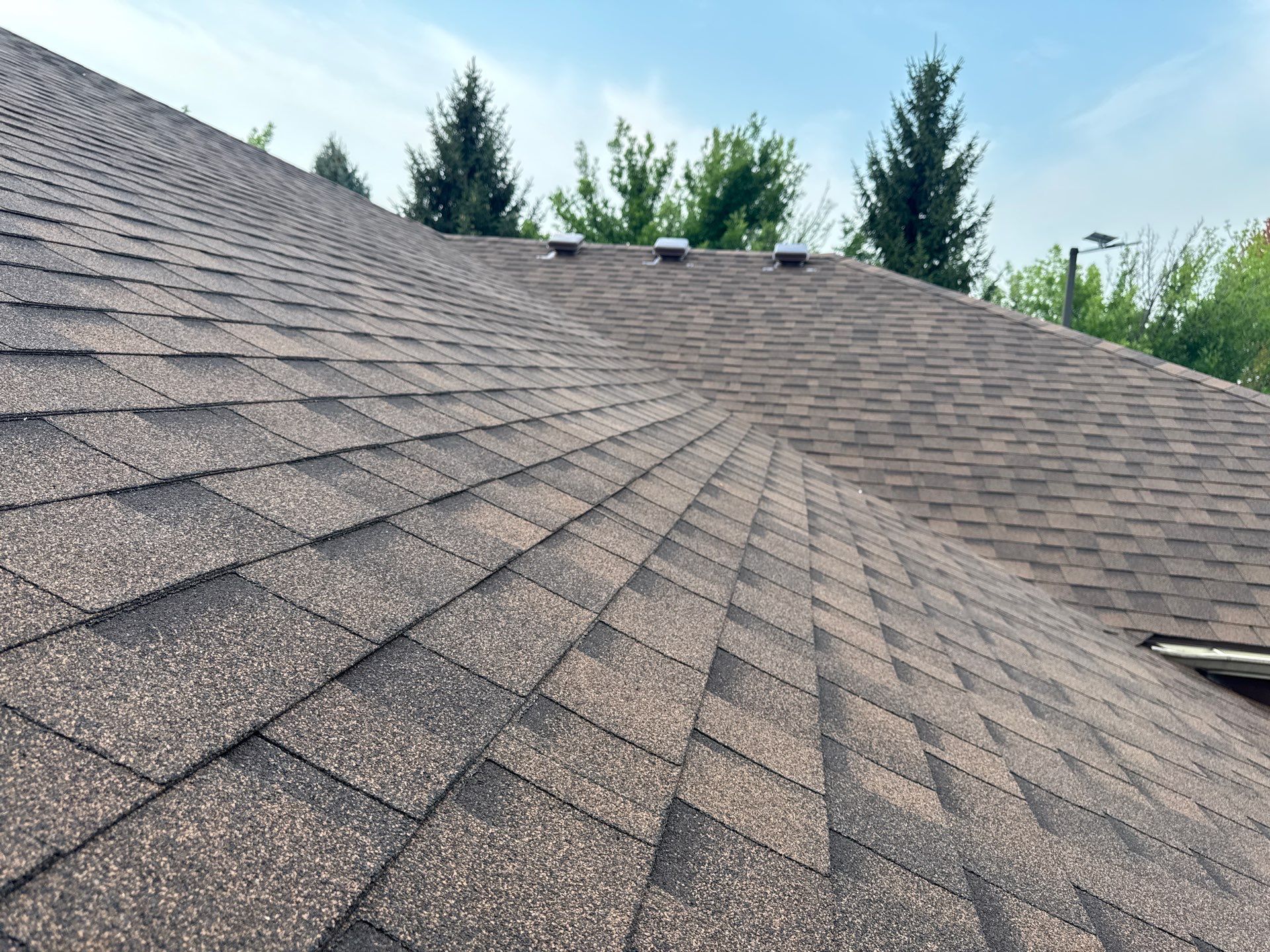 Boise Commercial Roof Replacement with Brown Architectural Shingles by Olive Roofing