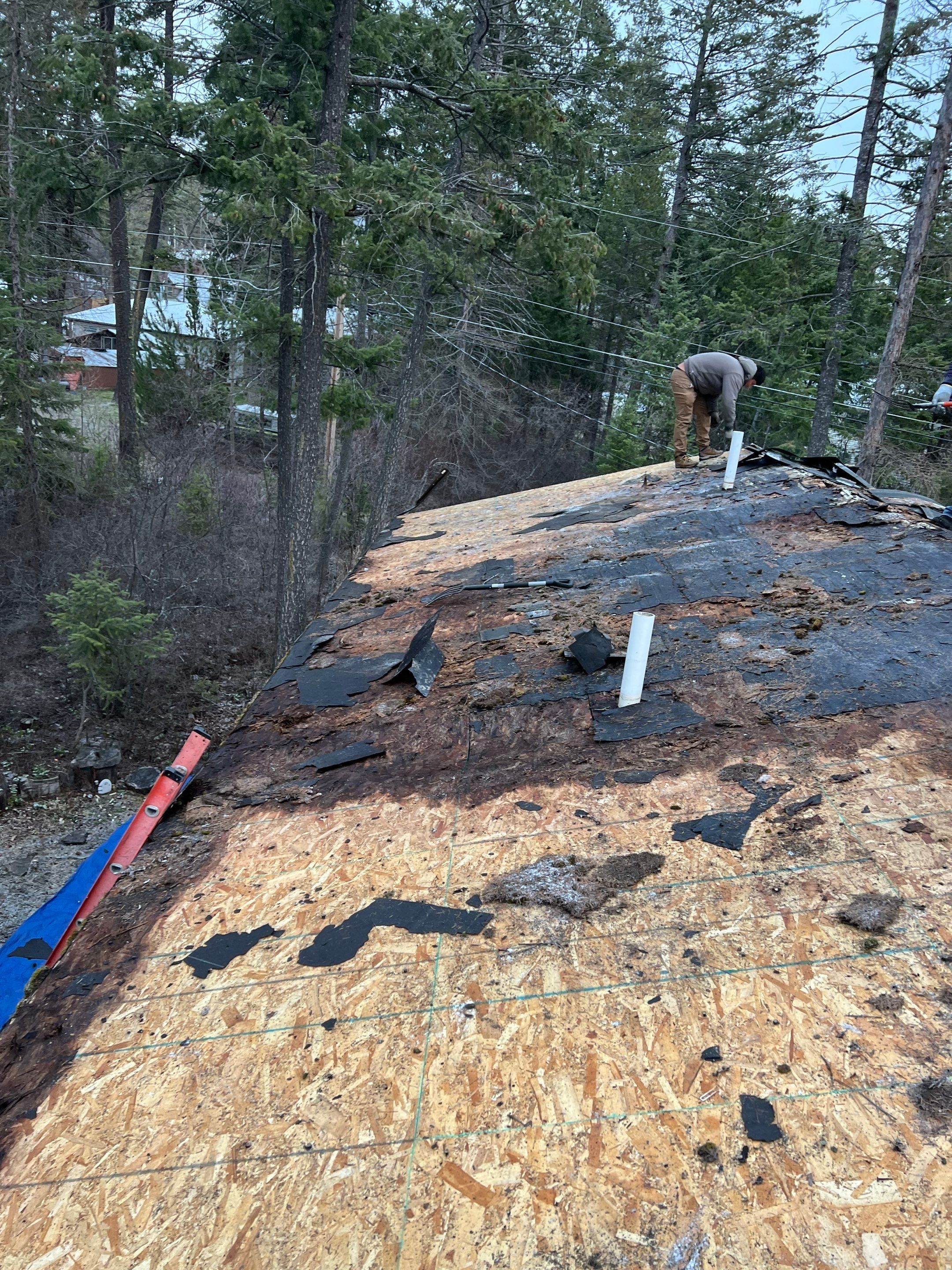 GAF Timberline HDZ - Hunter Green by Montana Roofing Solutions