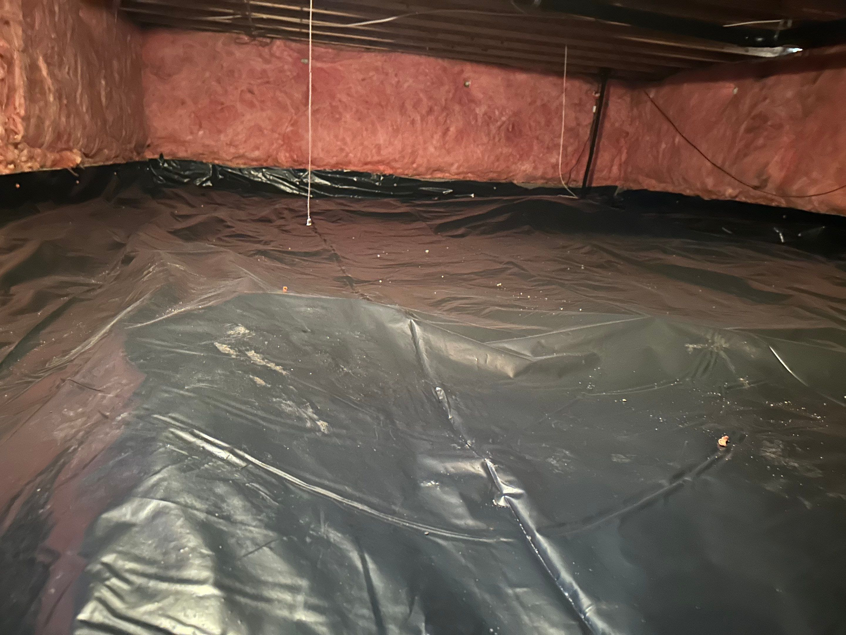 Mold Removal in Brighton, CO by Alpha Restoration 