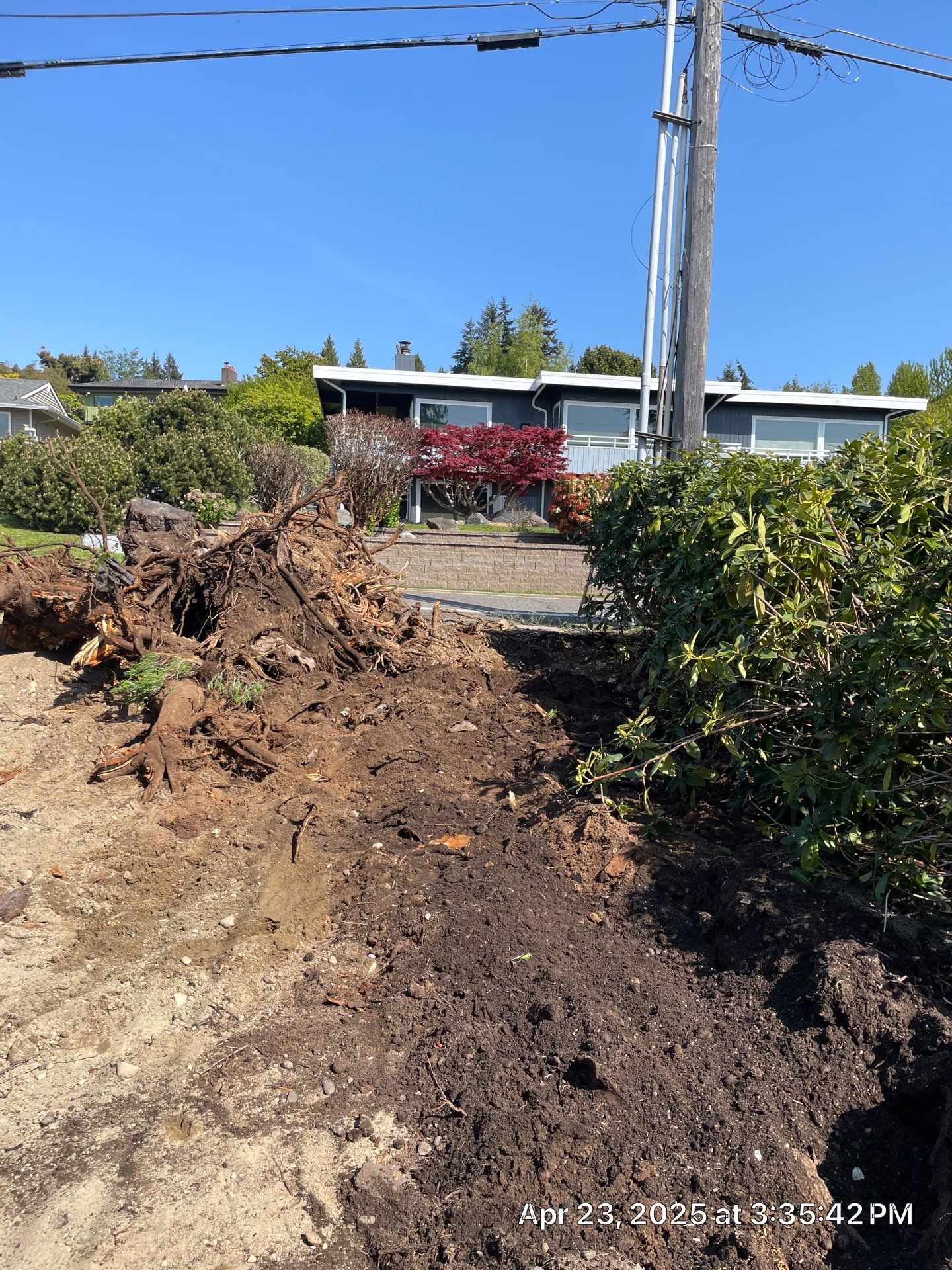 Asphalt Driveway Repair | Edmonds by Jireh Asphalt & Concrete Inc 