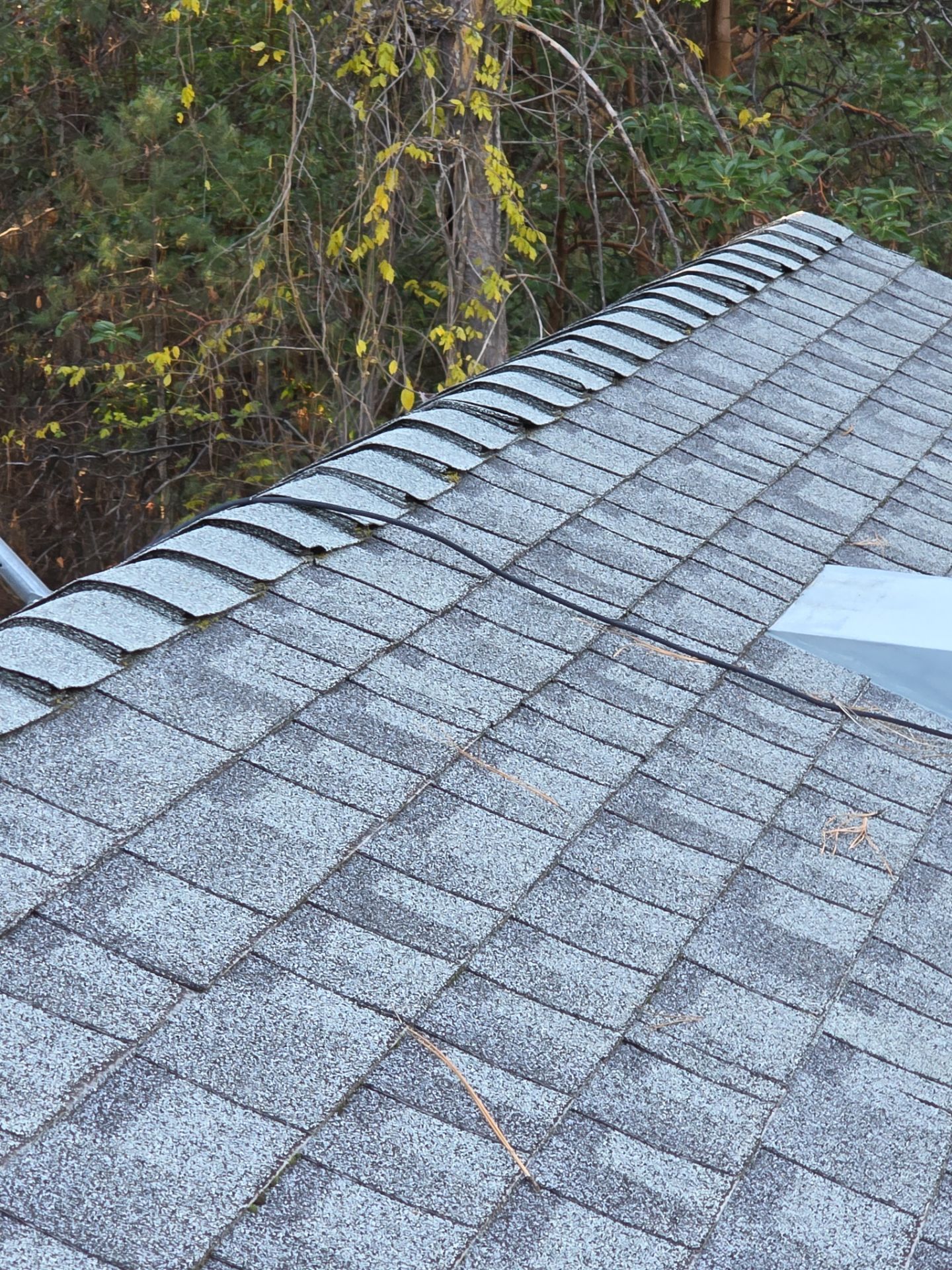 Roof Rejuvenation using Roof Maxx Treatment by Roof Maxx of Folsom