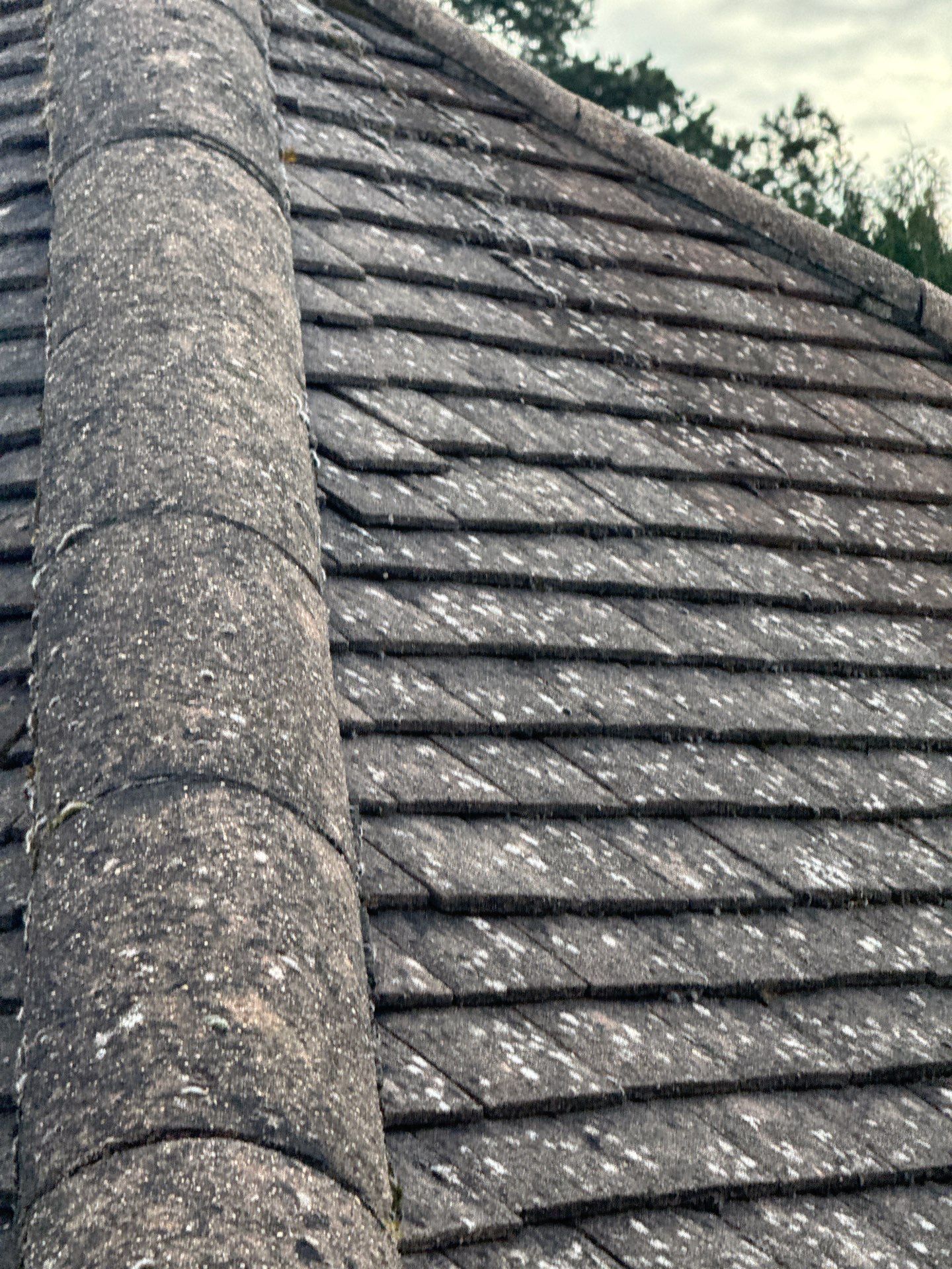 Exterior Clean - Roof - Patio - Driveway using honda 21 ltr/min by Ges Exterior Cleaning ltd
