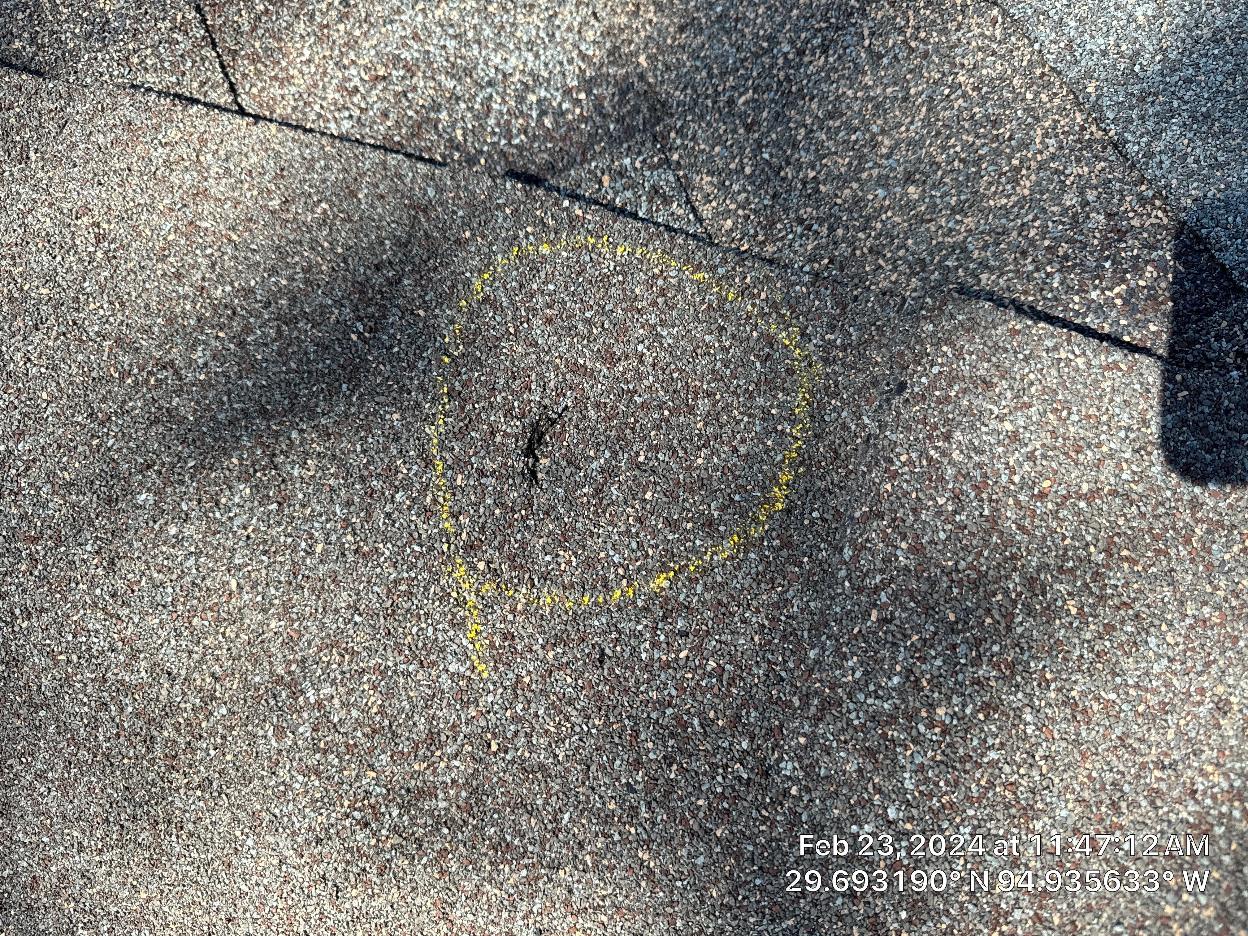 Hail Damage by Southern Belle