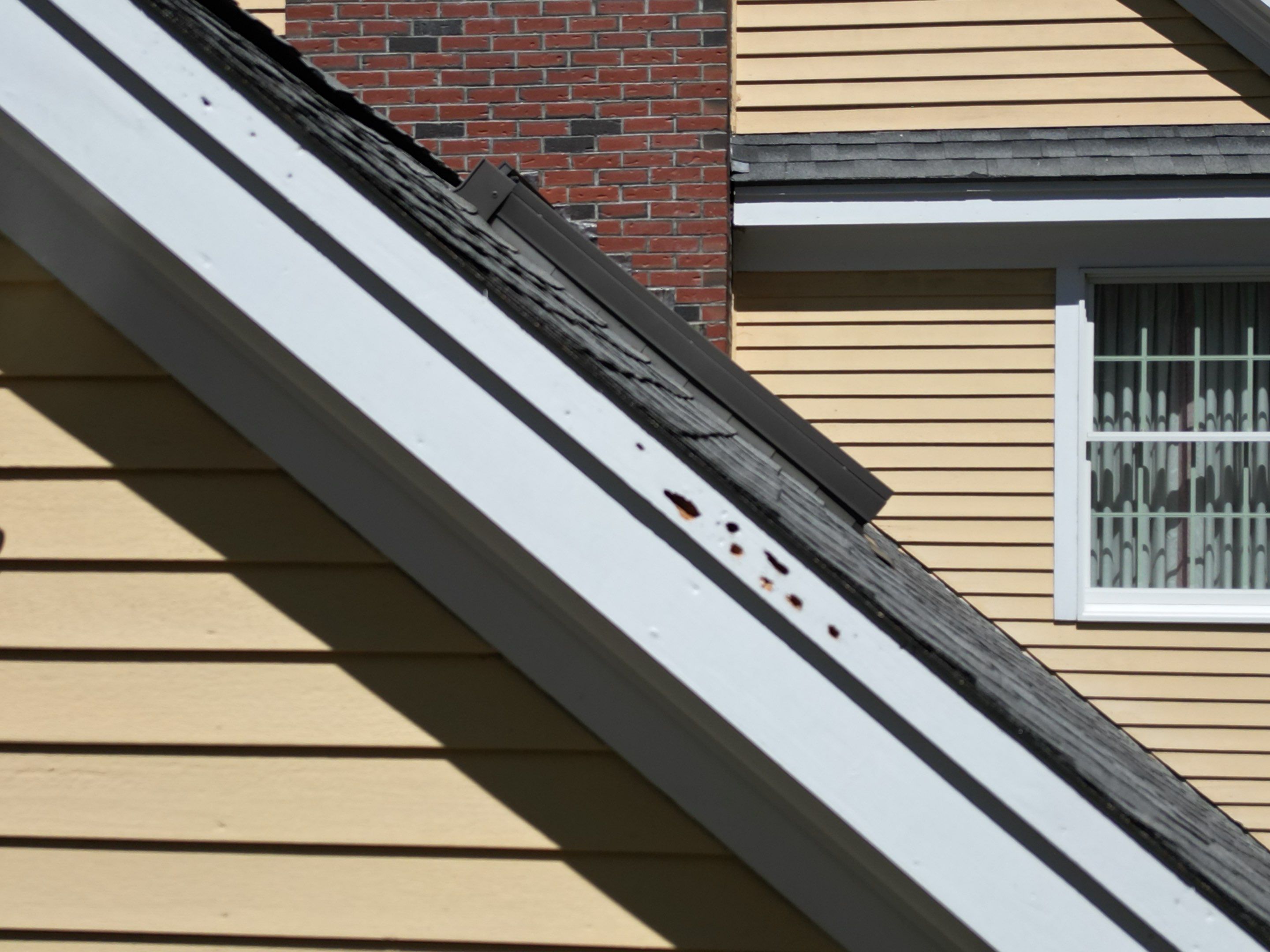 Roofing | Carlisle by Mighty Dog Roofing of Greater Middlesex County