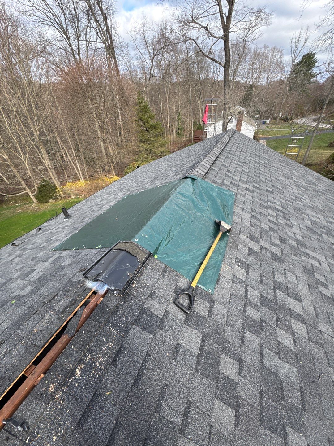 Brand new roof by DiGiorgi! by DiGiorgi Roofing and Siding Inc