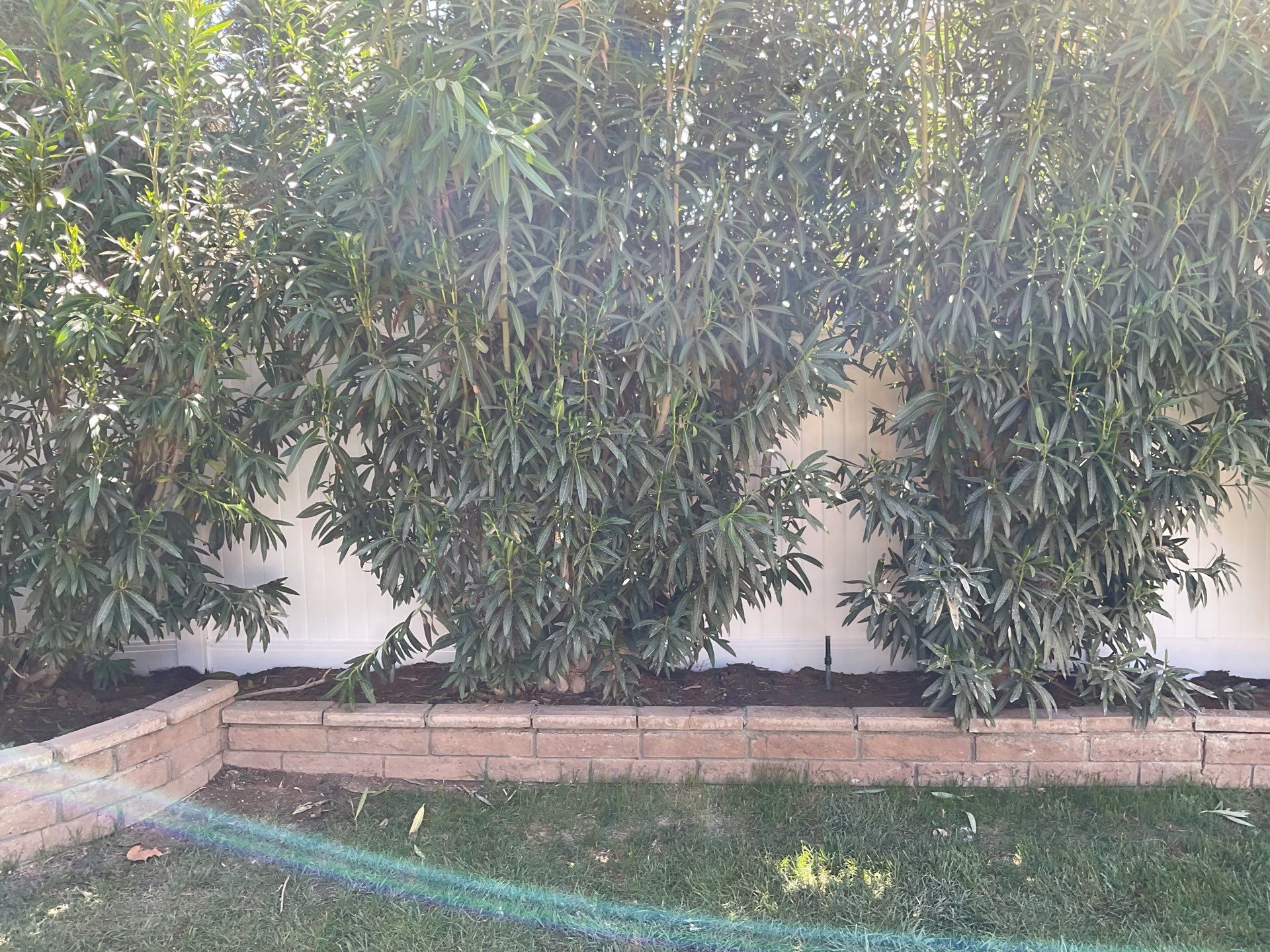 Fence Installation using Vinyl by Fence Guys Inc.