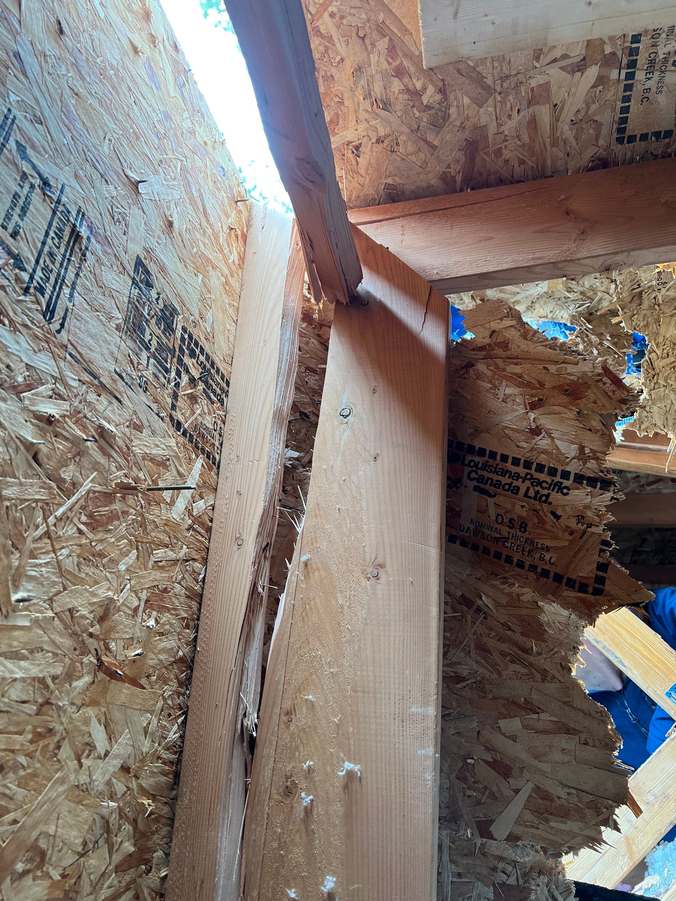 Green Snap Lock Standing Seam  by Montana Roofing Solutions