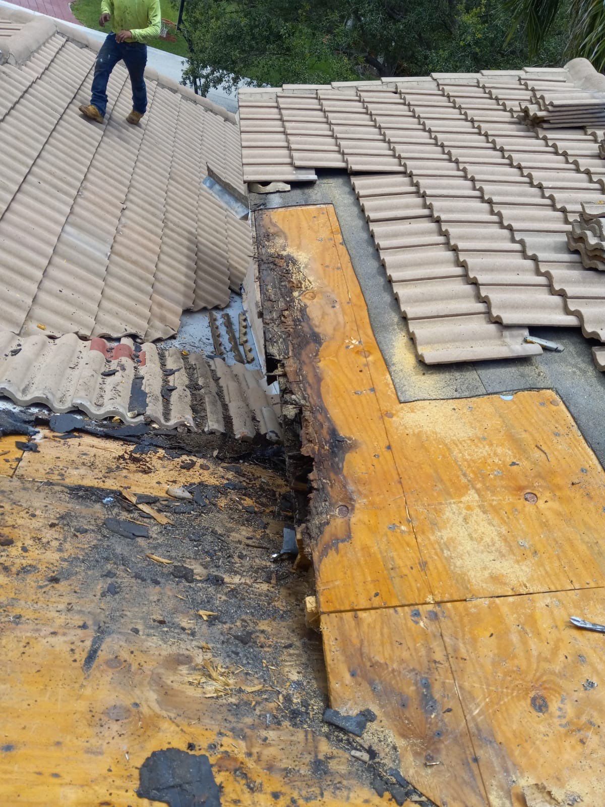 Concrete Tile Roof Leak Repair and Wood Decking Replacement in Parkland by Aastro Roofing