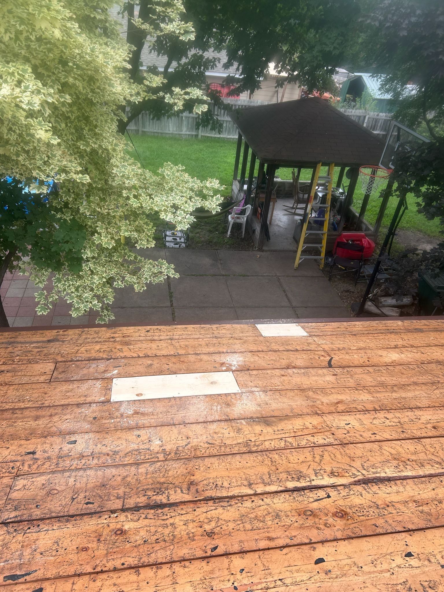 OC Duration Designer AR - Midnight Plum by Forever Fortified