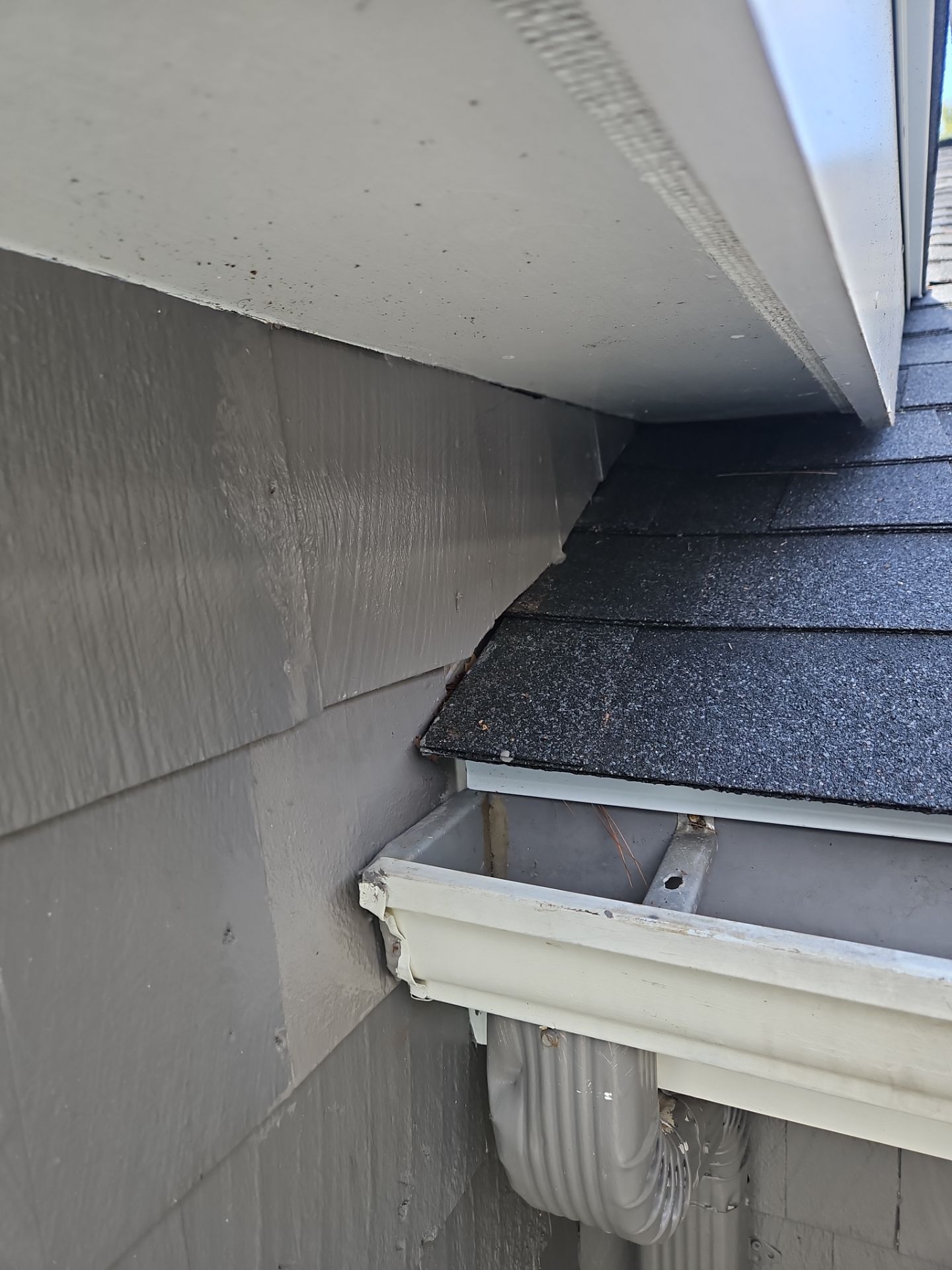 Mighty Dog Roofing featured photo.