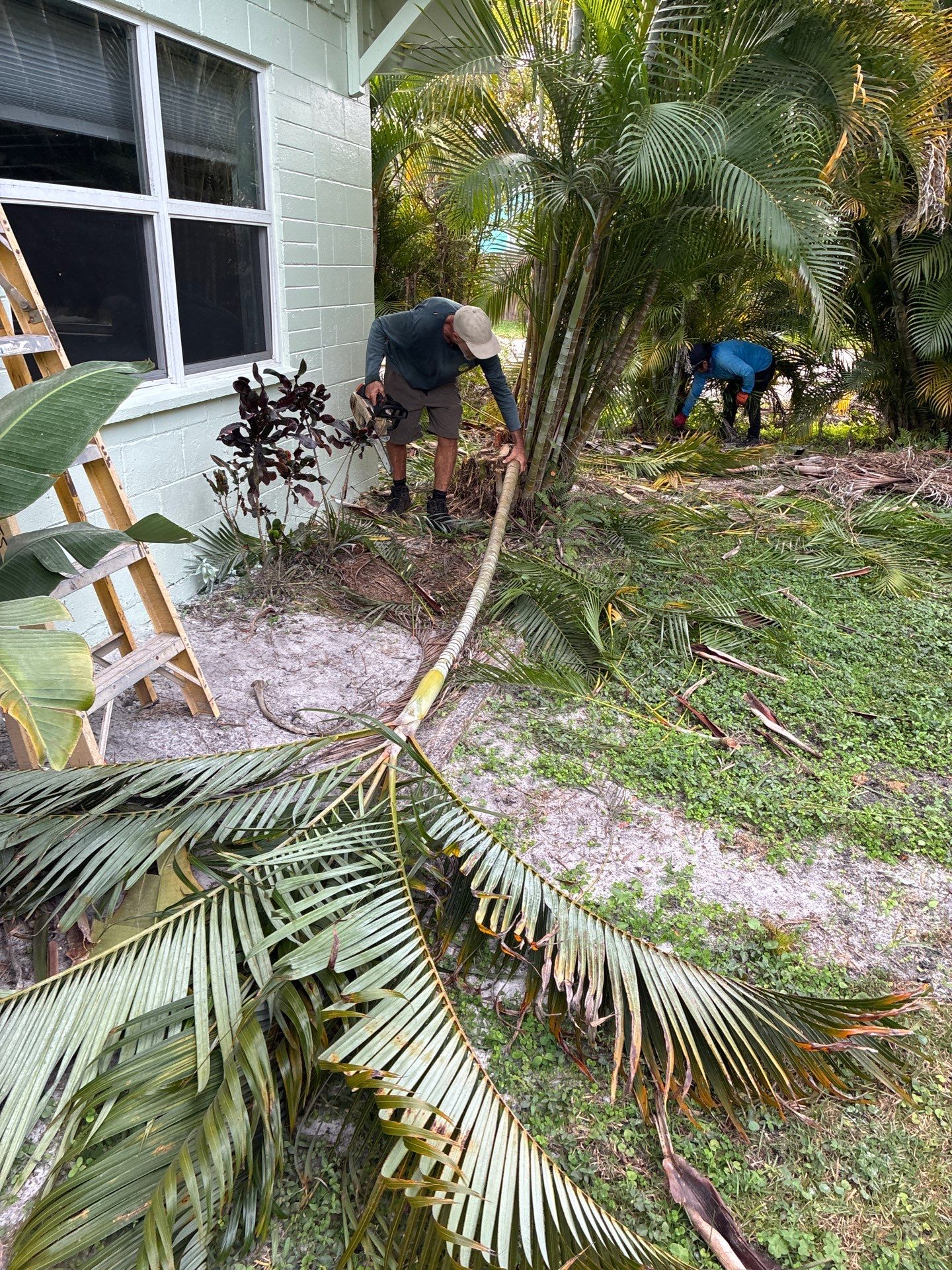 🏡 Pre-Sale Property Cleanup in Old Palm City, FL by Alpha Zeta Enterprises Inc