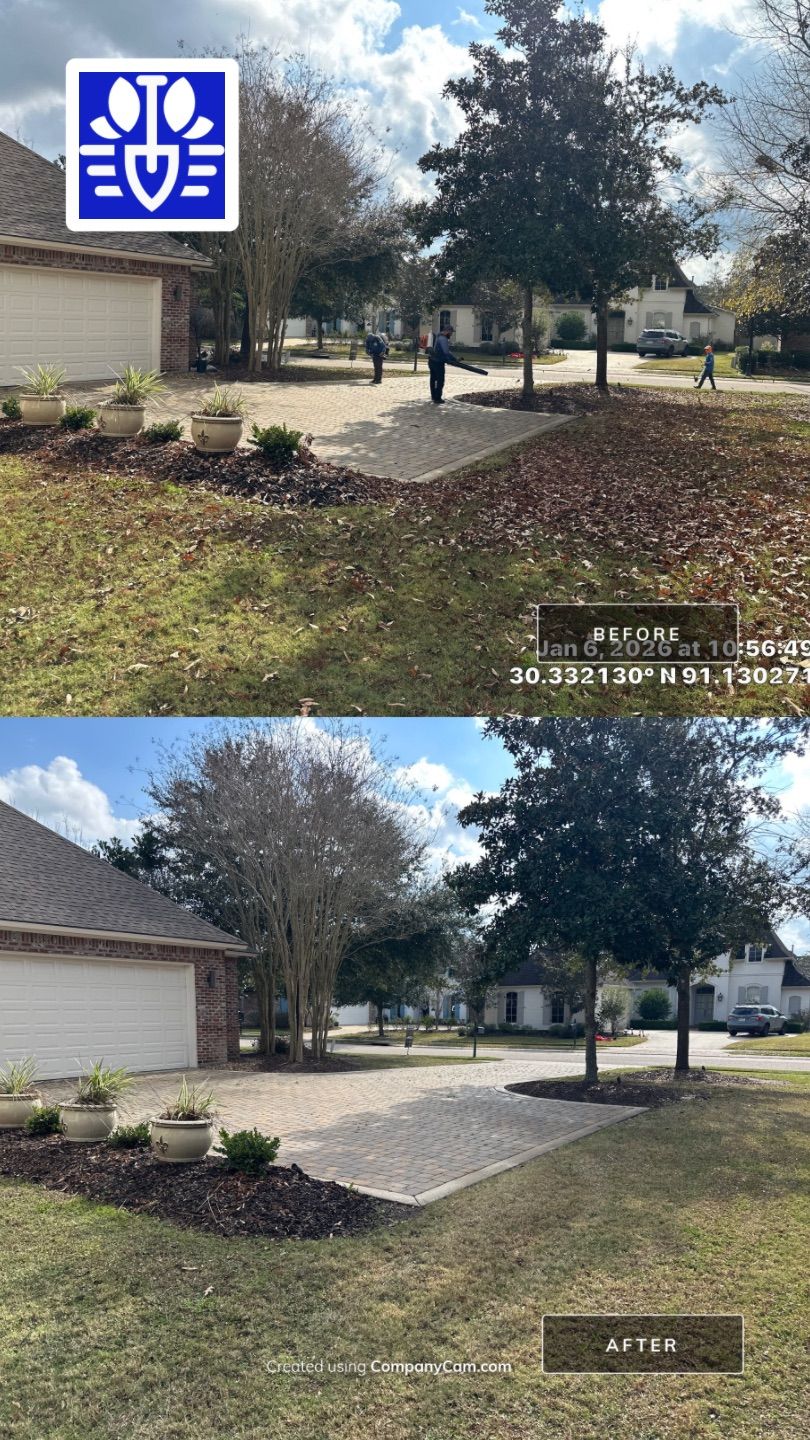 WINTER SERVICES: FULL LEAF JOB by CutScape, LLC.