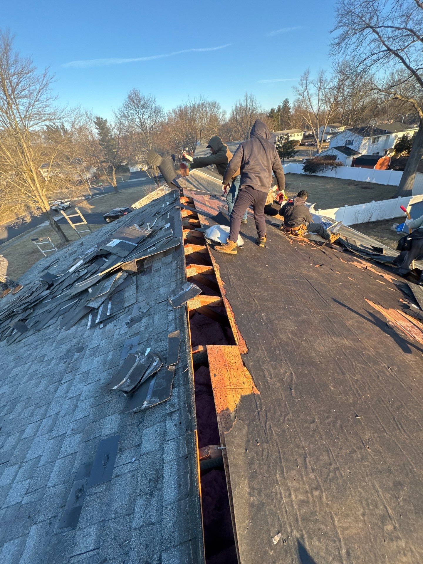 Silver Birch Shingles by Reimagine Roofing