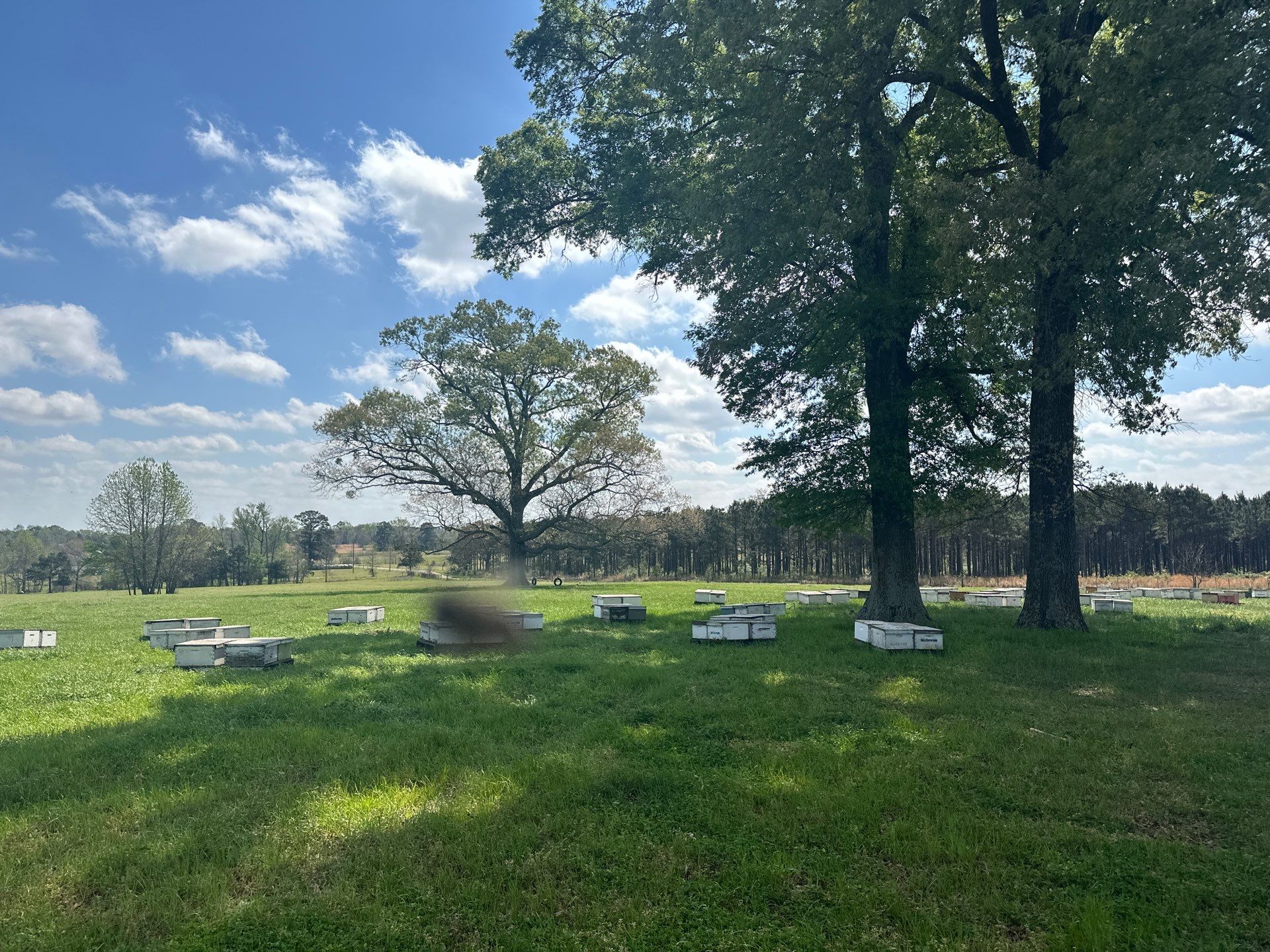 Peanut Farm Apiary by Rockwall Honey Bee Company