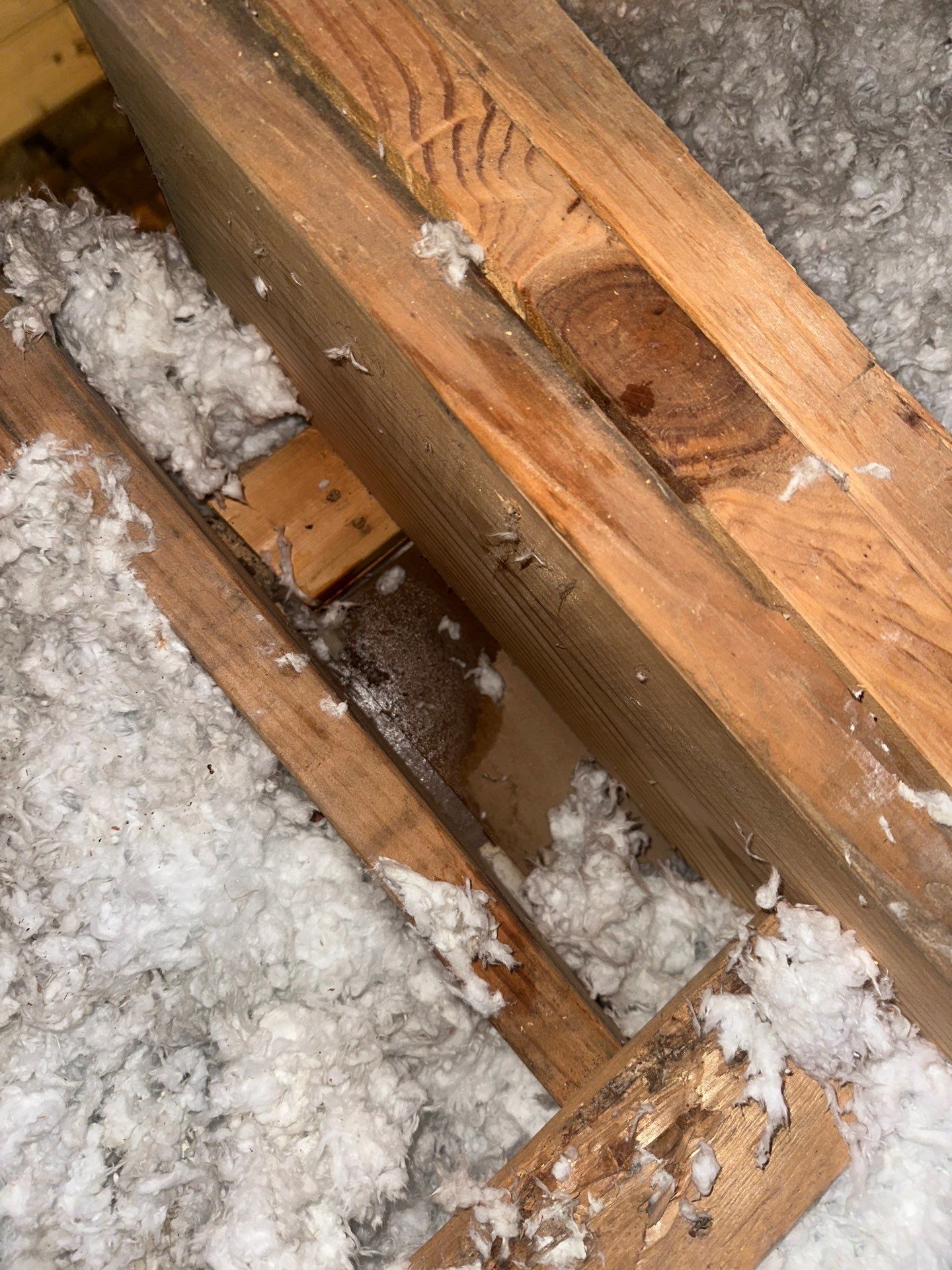 Roof Repair Cypress by Roof Repair Services LLC