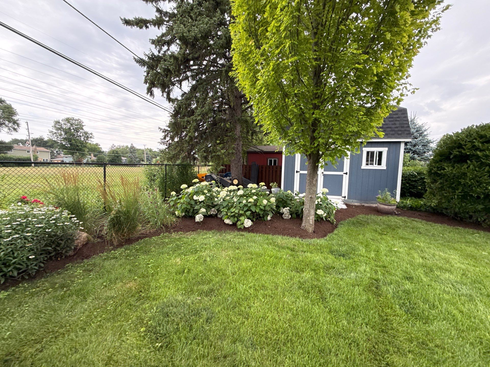 Rob M. - Arlington Heights, IL by A&N 