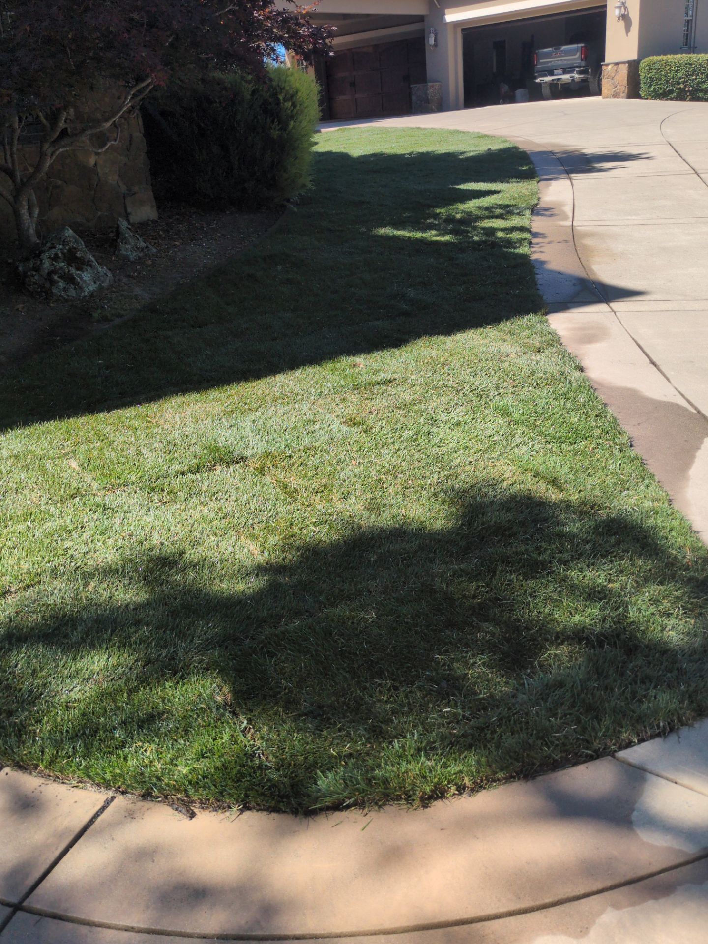 Project in Placerville by A - G Sod Farms
