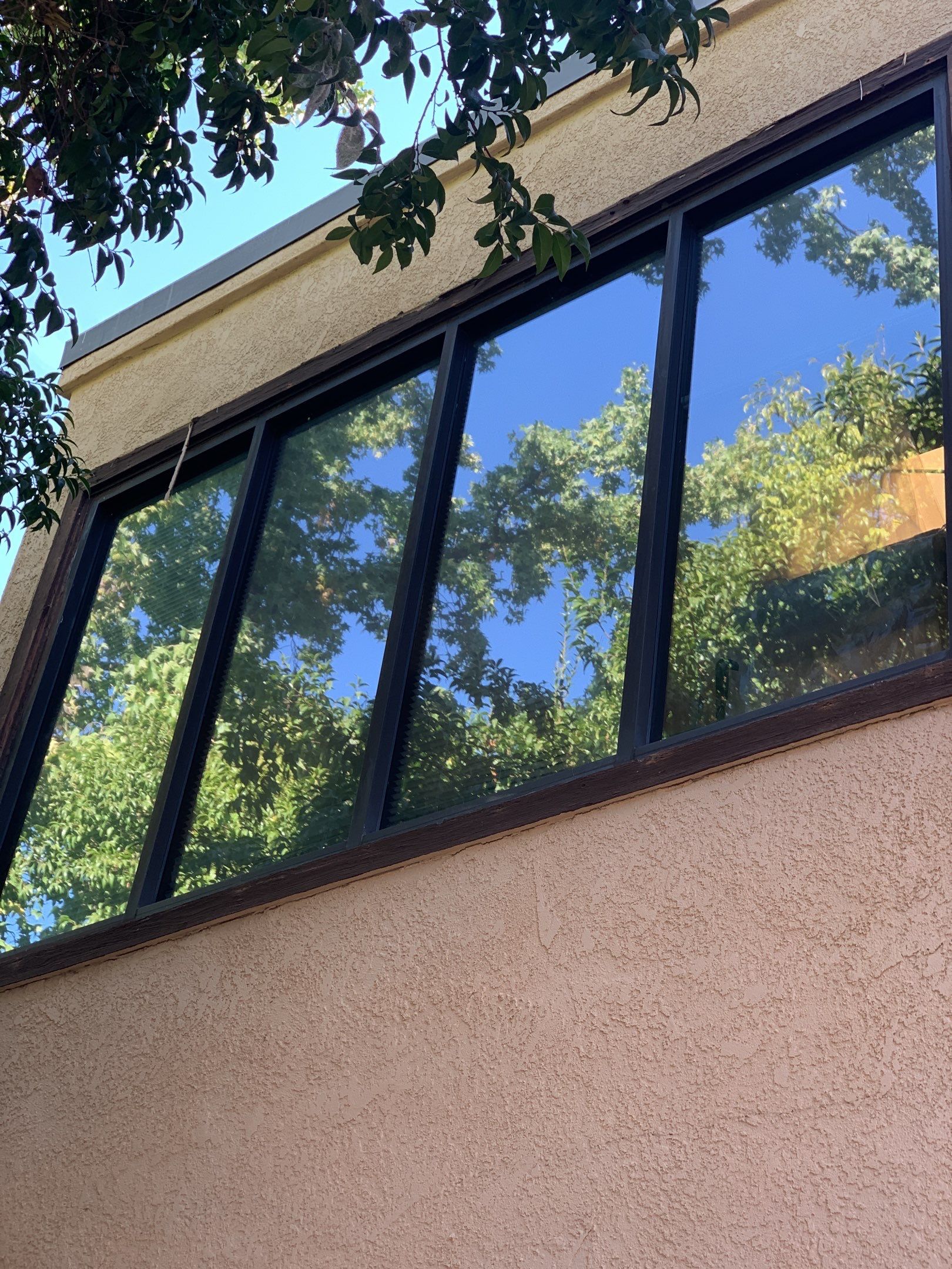 Jila Tailoring Studio by SpotFree Window Cleaning