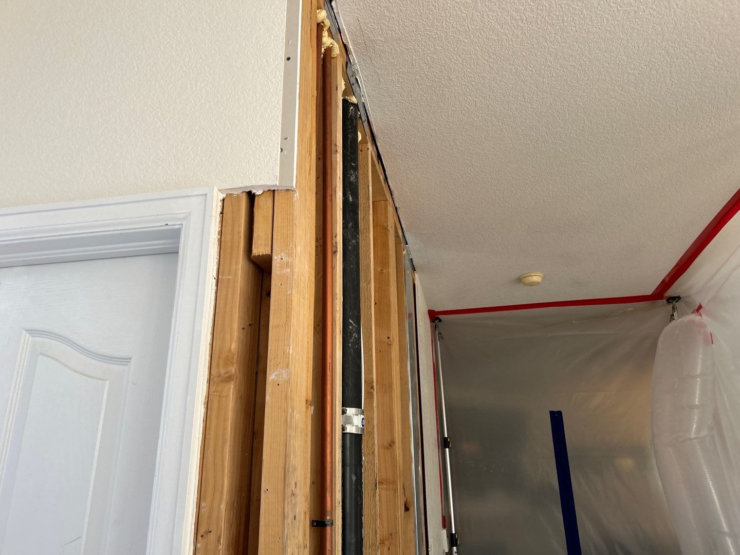 Mold Remediation by Accountable Home Services