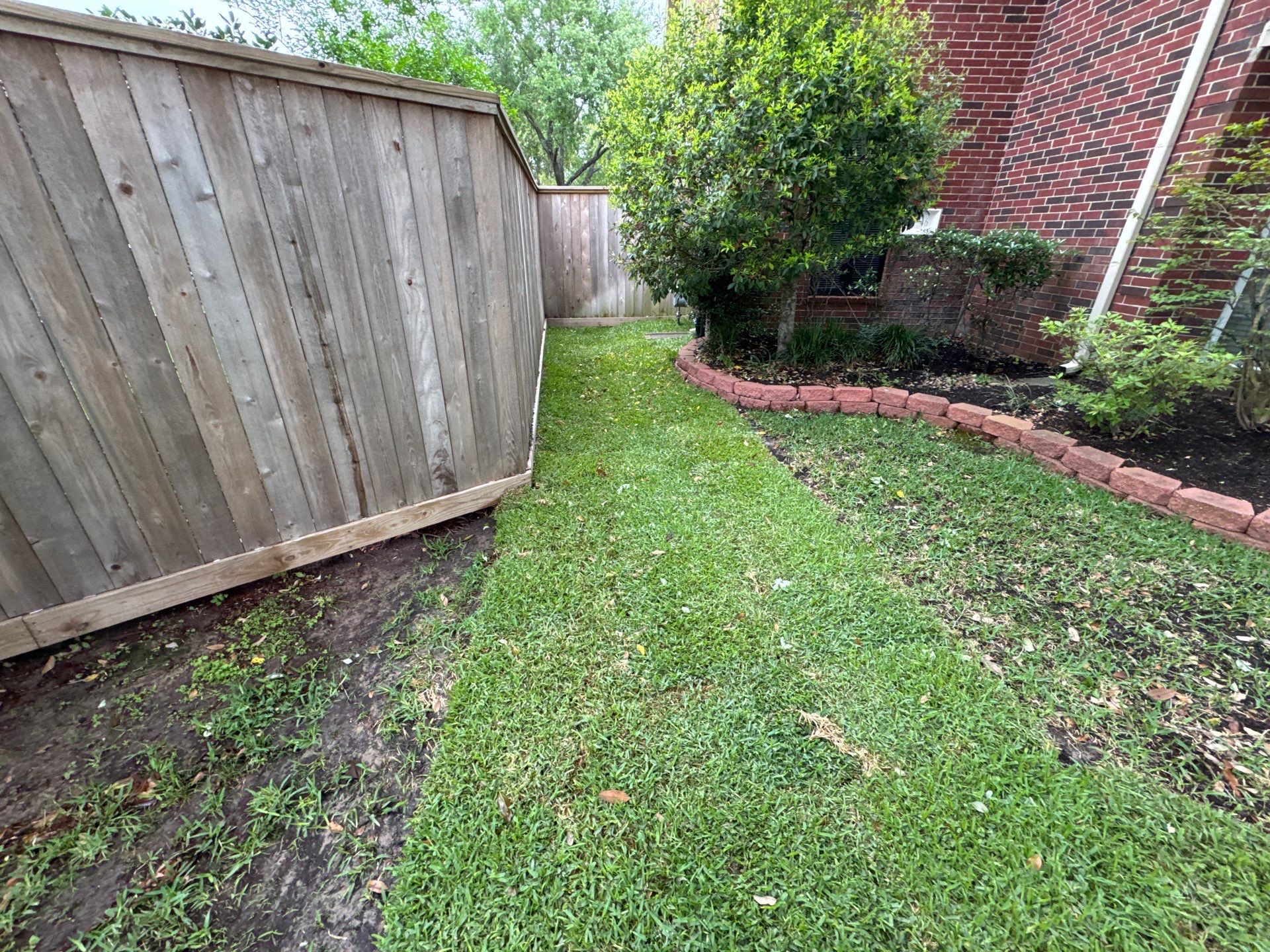 🌿 Mrs. Coleman’s Lawn & Drainage Restoration by Texas Urban Elements