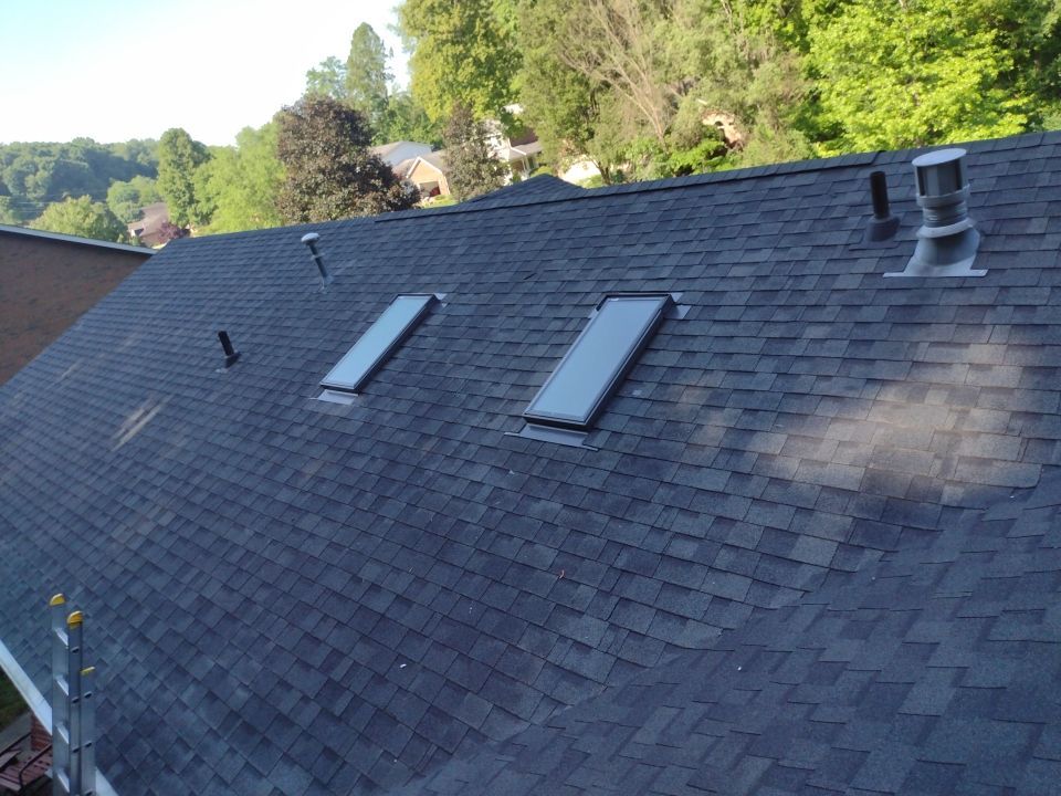 Steve Brandon by Silver Leaf Contracting 