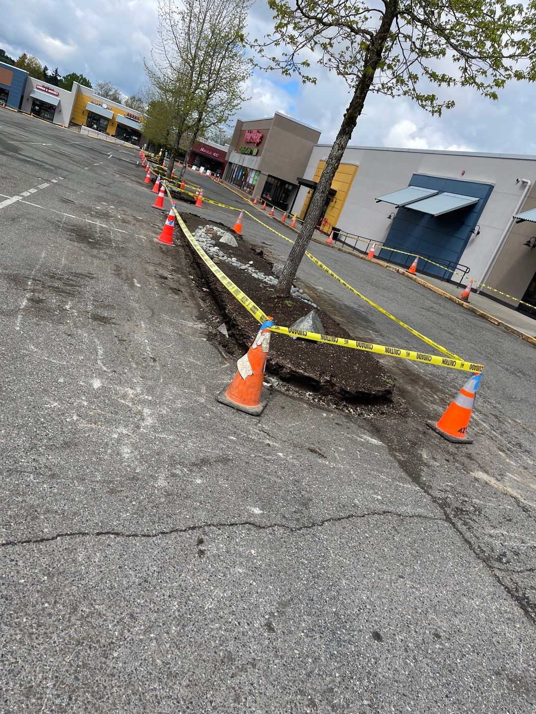 Colliers - Woodinville New Asphalt Parking Lot by Jireh Asphalt & Concrete Inc 