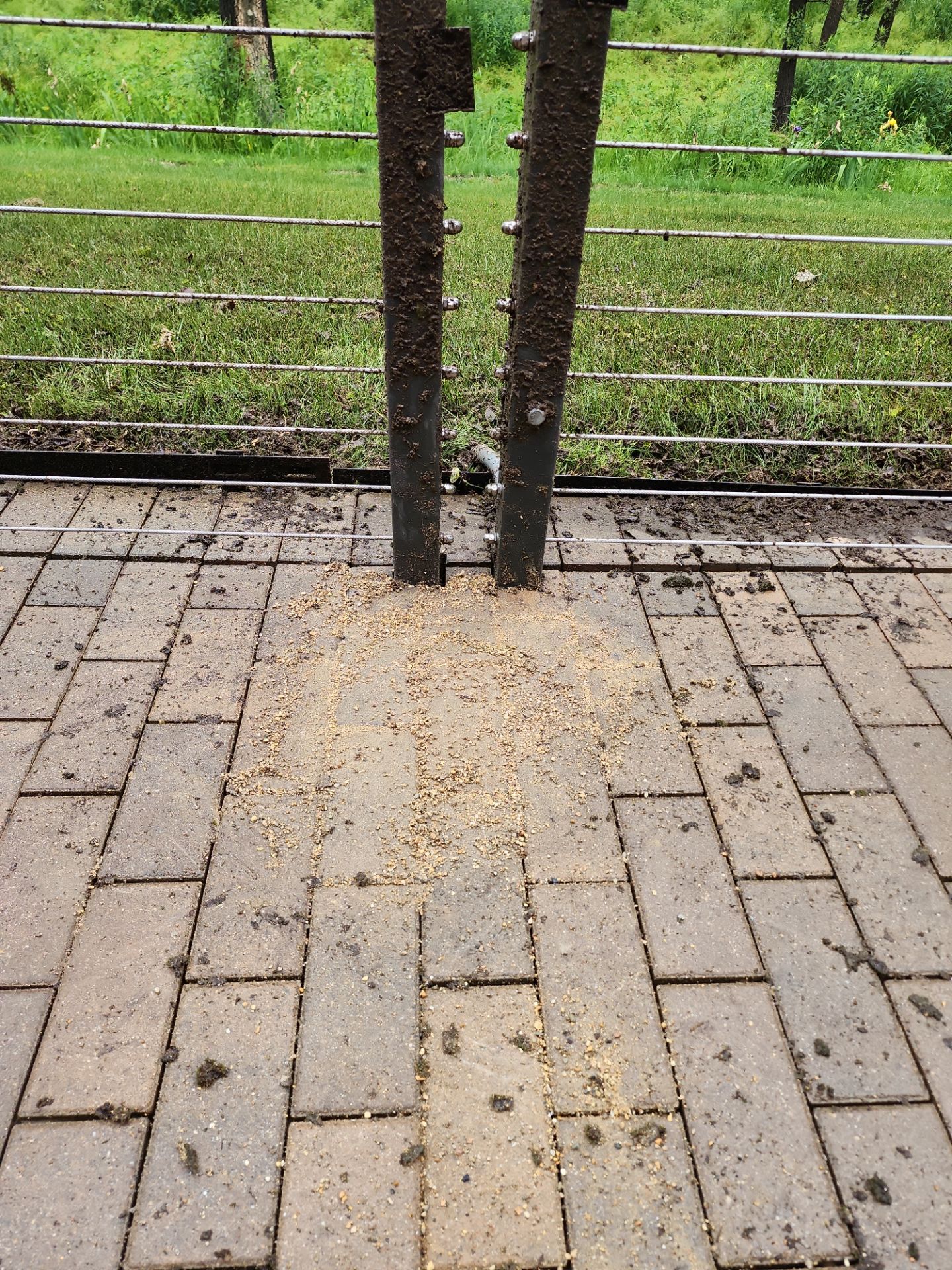 Brick paver repair, cleaning, sealing and poly sanding by Northern Power Washing LLC.
