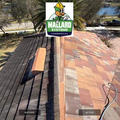 Flat Tile Roof Cleaning