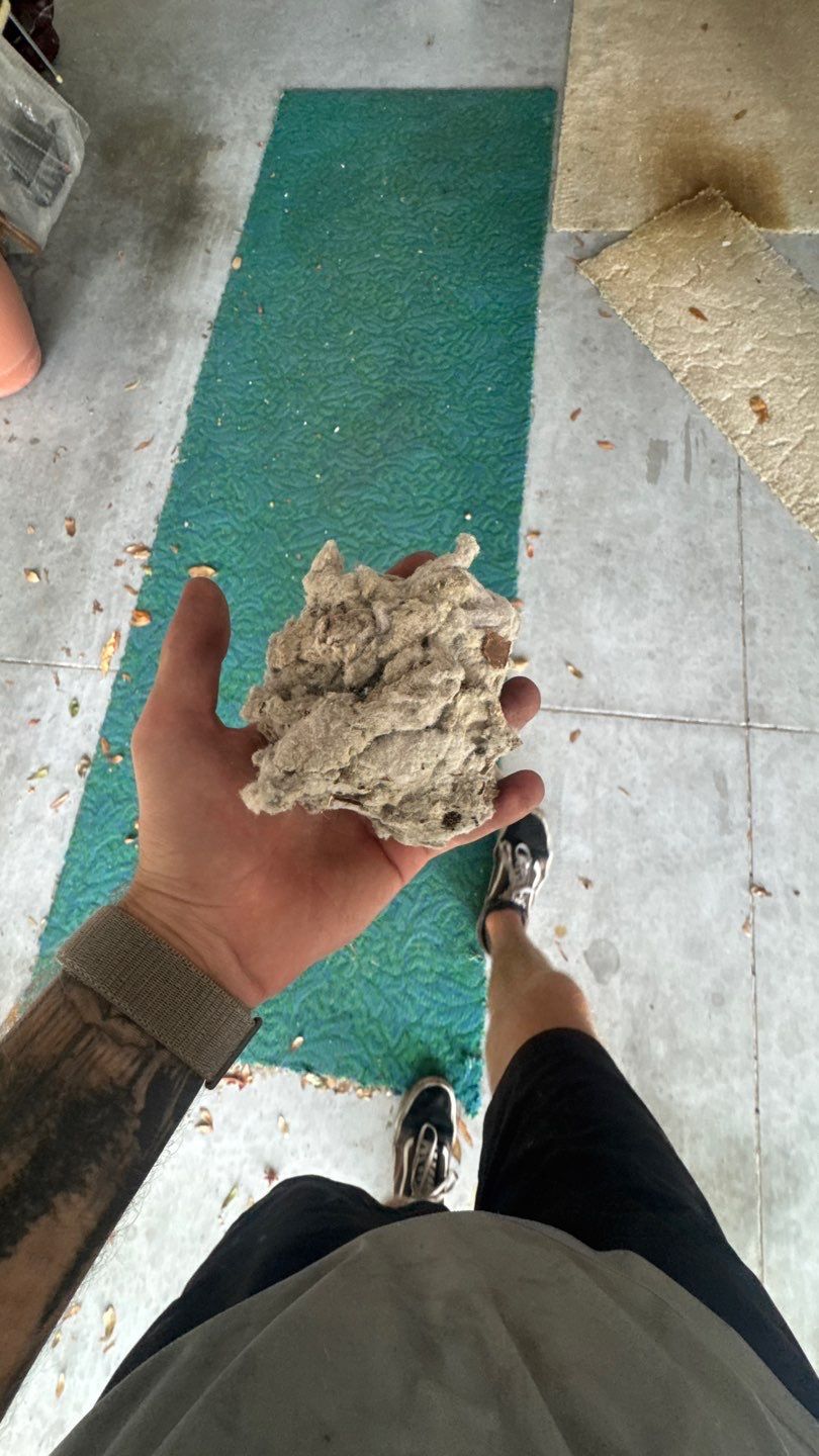 Air Duct and Dryer Vent Cleaning in Clermont by Hygienic Air, Inc