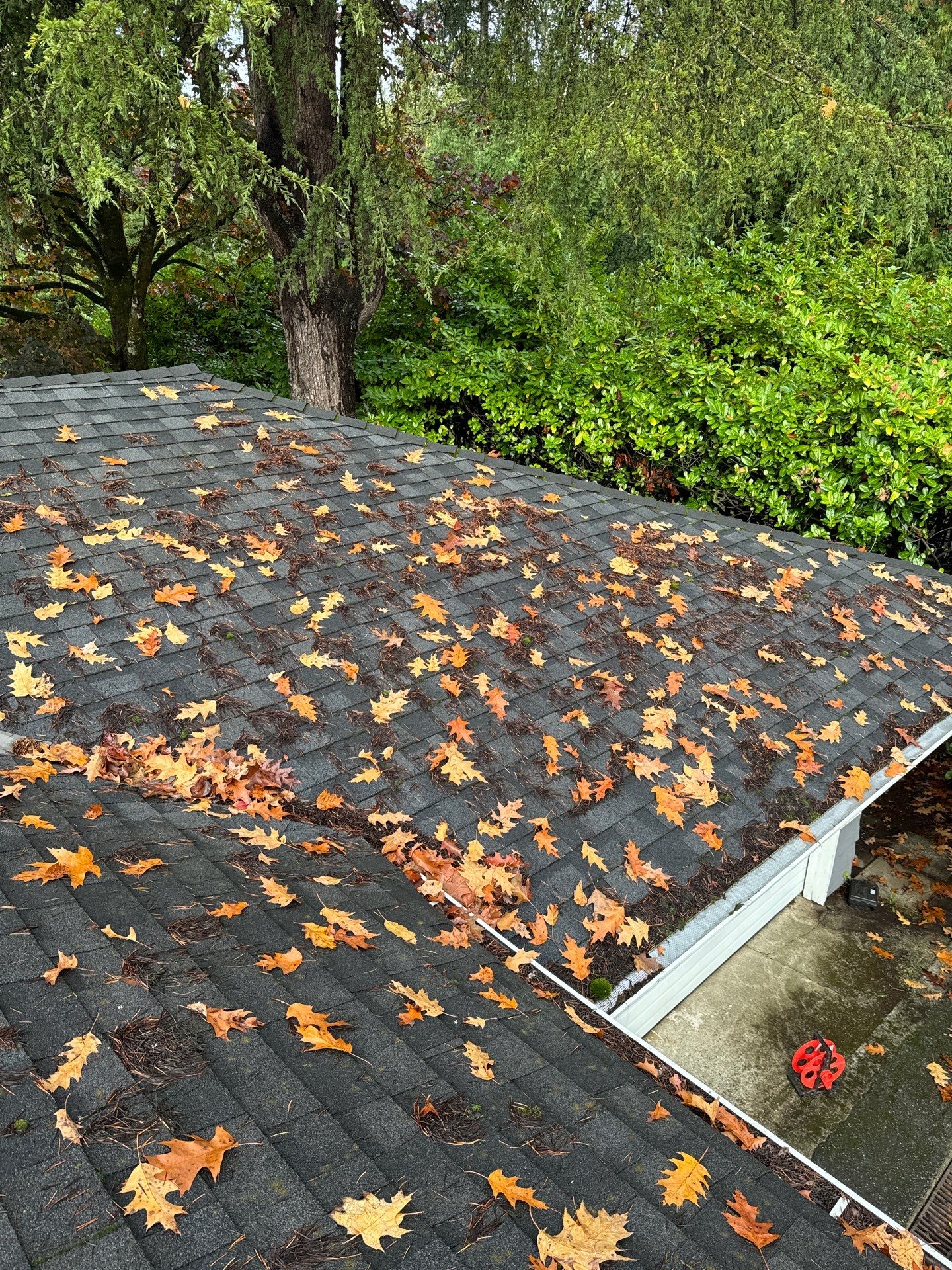 Gutter Cleaning- Taylor Way by YVR Construction Group